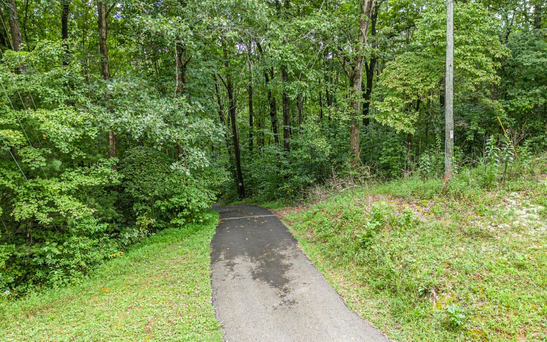 7864 Big Creek Road Ellijay, GA 30536 - Photo 8 of 14 Additional View