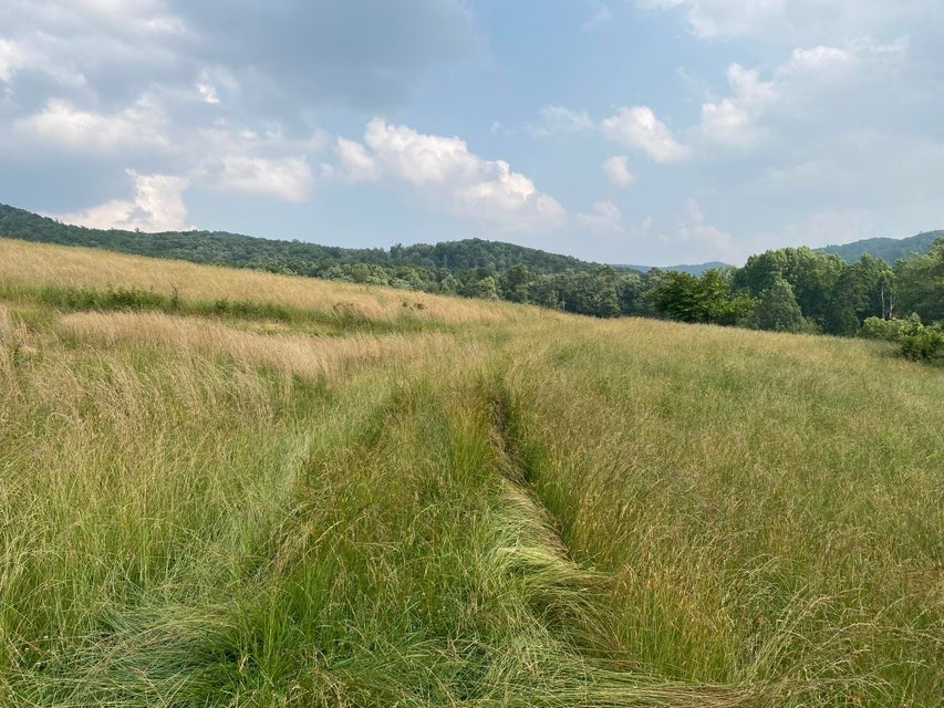 Tbd Widener Valley Road, Unit SEE REMARKS Glade Spring, VA 24340 - Photo 2 of 57 Gallery Image 2