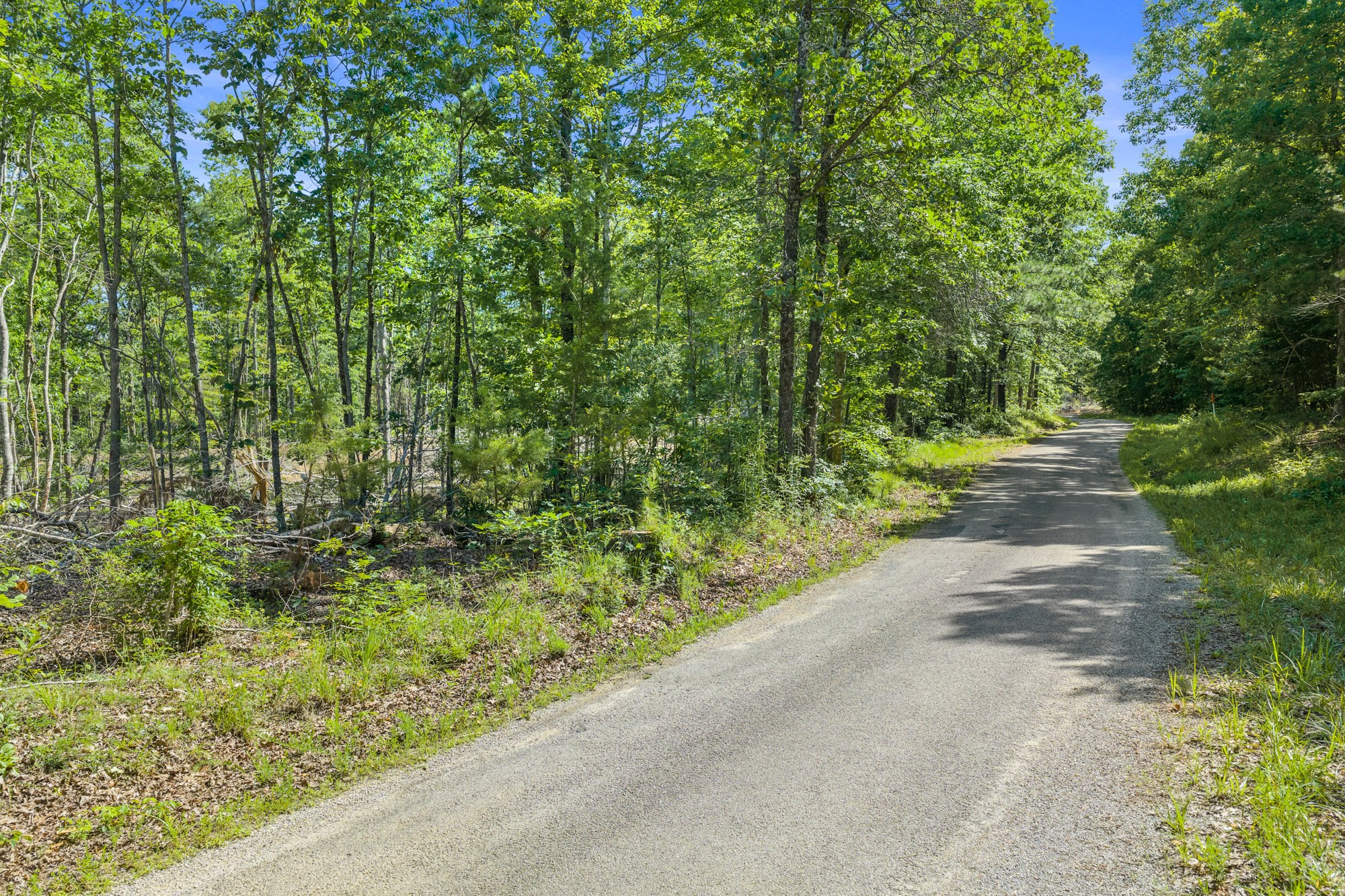 0 Green Hatley Branch Road Holladay, TN 38341 - Photo 1 of 18 Gallery Image 1
