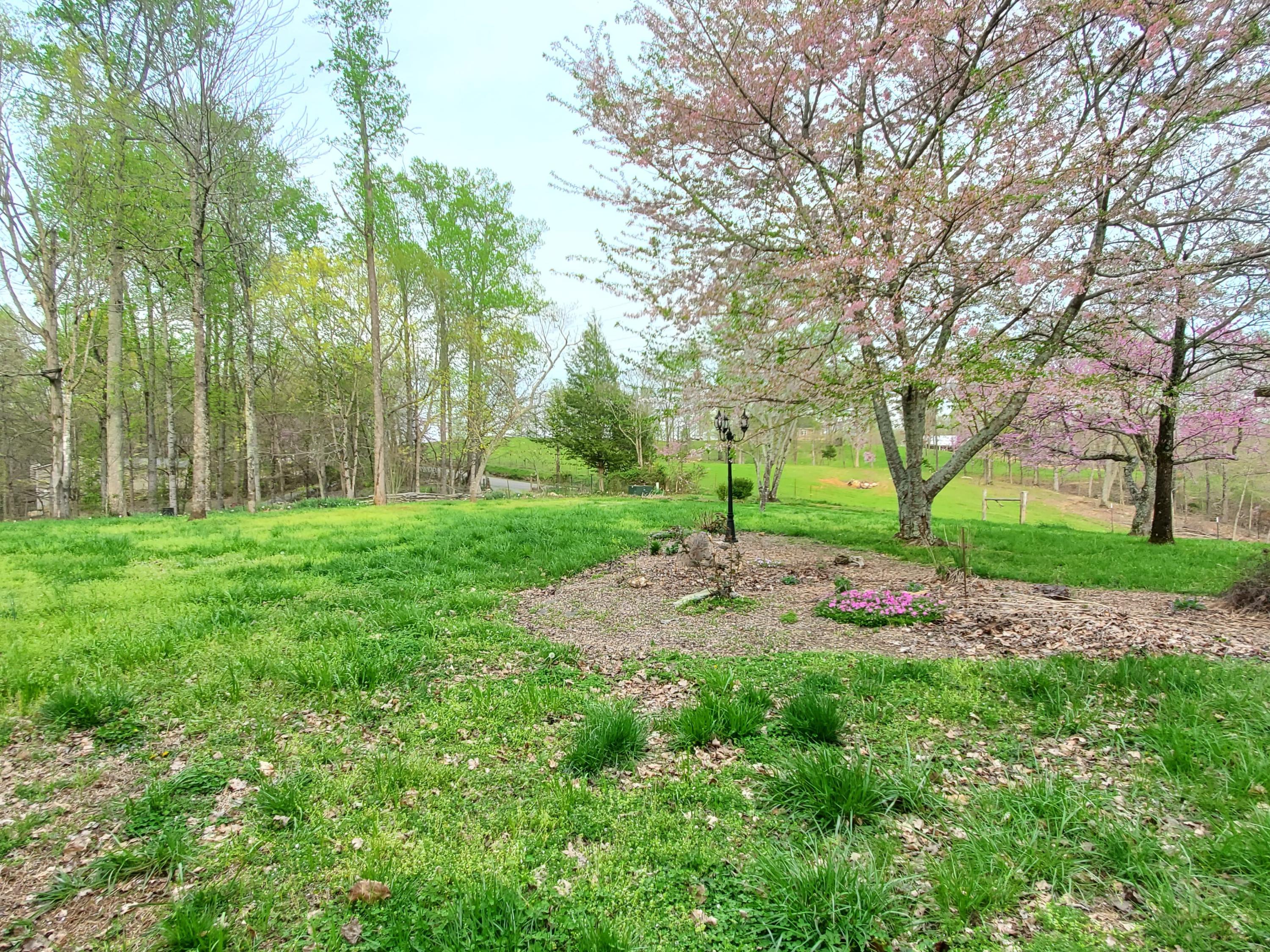 424 Mowery Road, Unit NW Charleston, TN 37310 - Photo 12 of 96 91028381_801707786905440_231812258270596