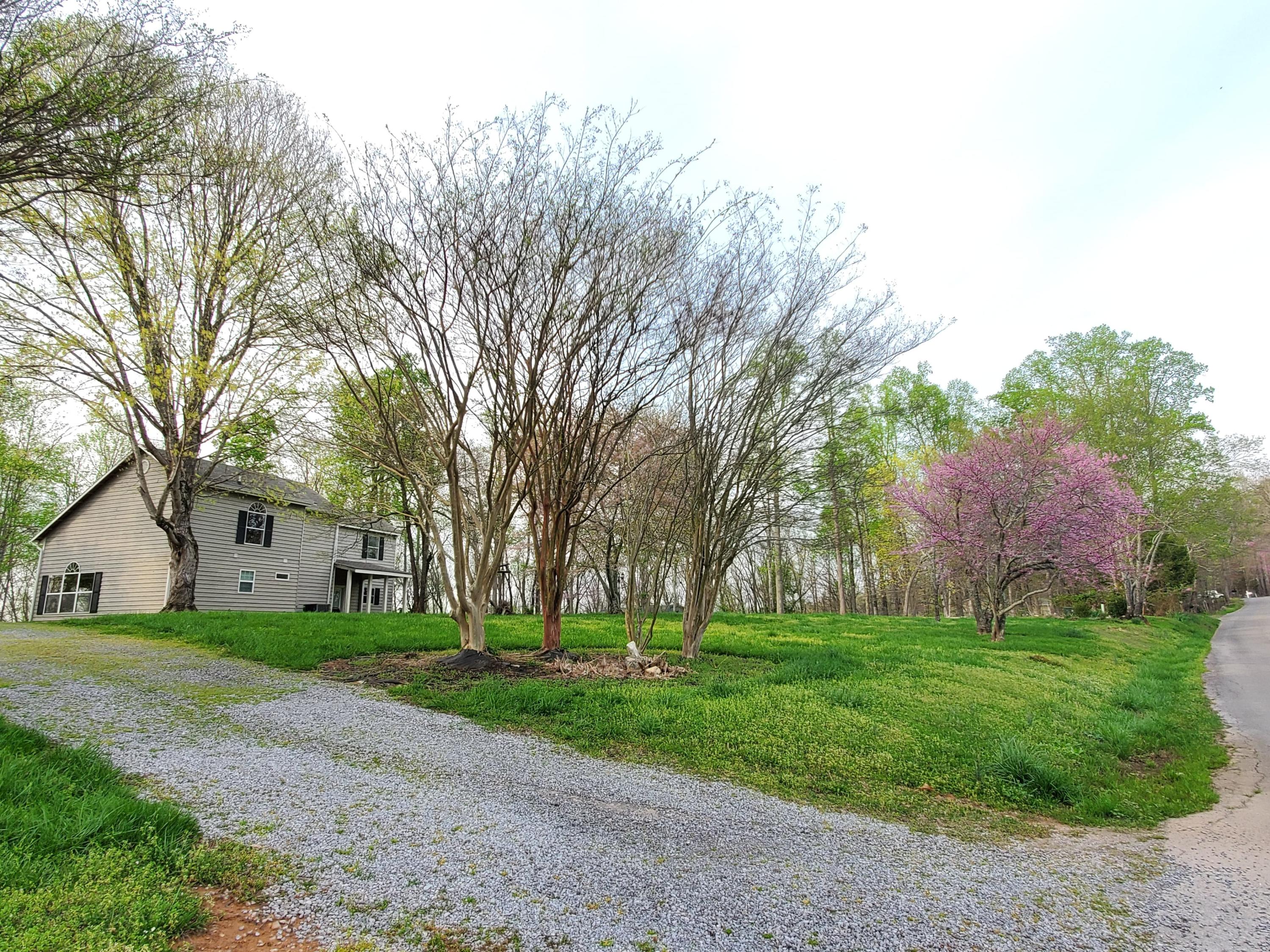 424 Mowery Road, Unit NW Charleston, TN 37310 - Photo 3 of 96 91566094_2833102723436882_59167804949591