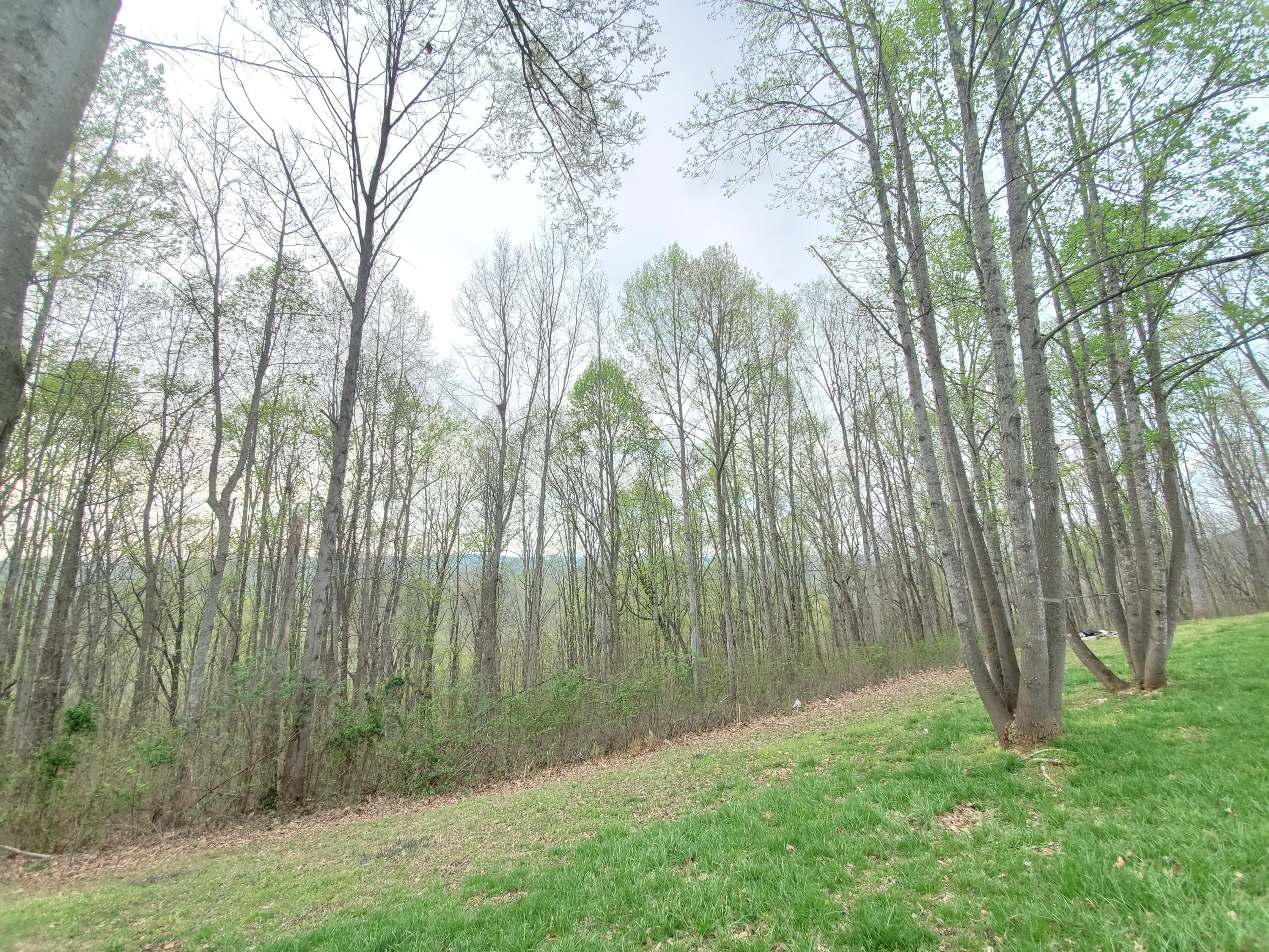 424 Mowery Road, Unit NW Charleston, TN 37310 - Photo 80 of 96 91481183_219372039283818_368489888846184