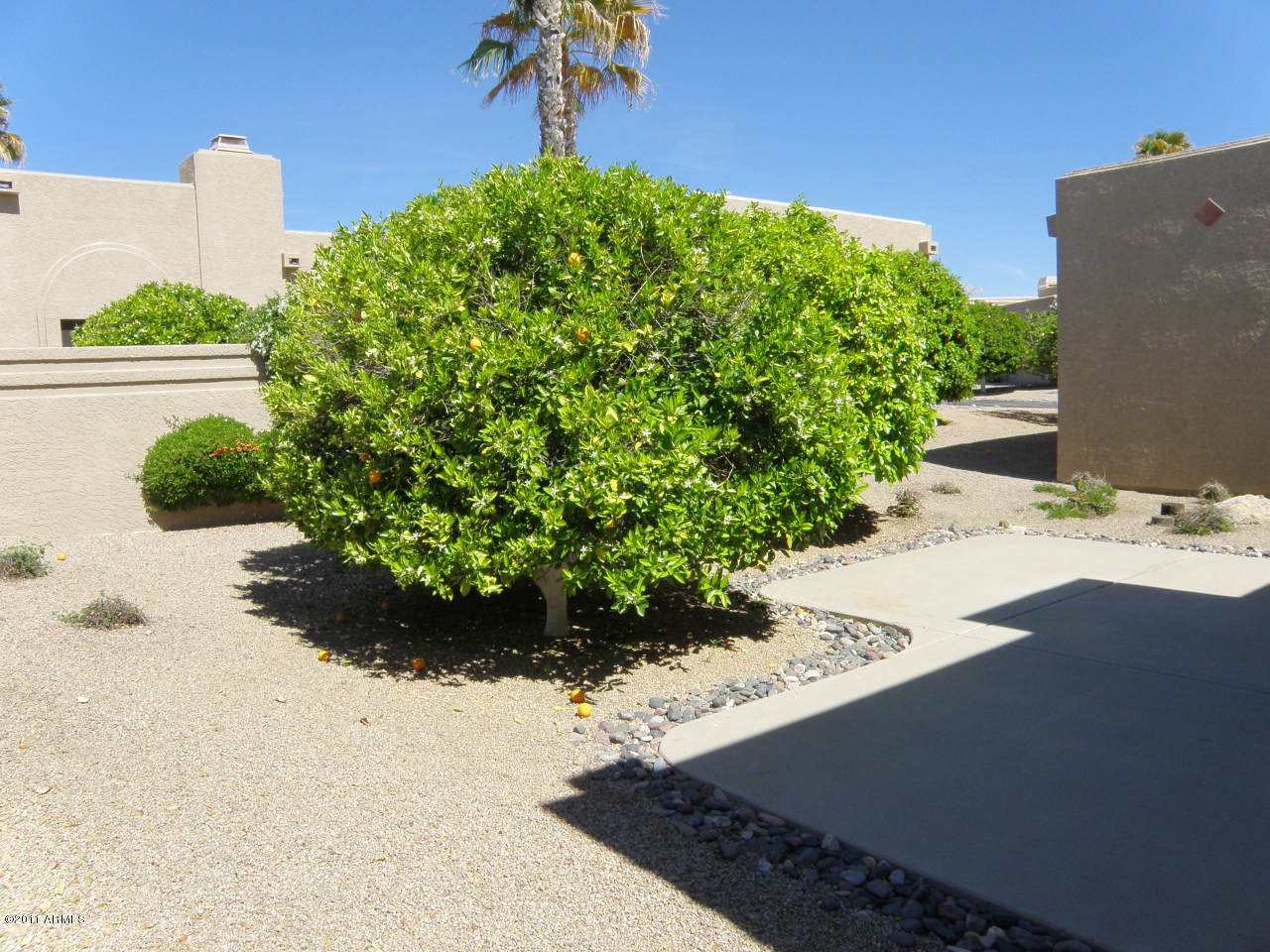 25515 Forest Road, Unit 8 Rio Verde, AZ 85263 - Photo 9 of 12 backyard