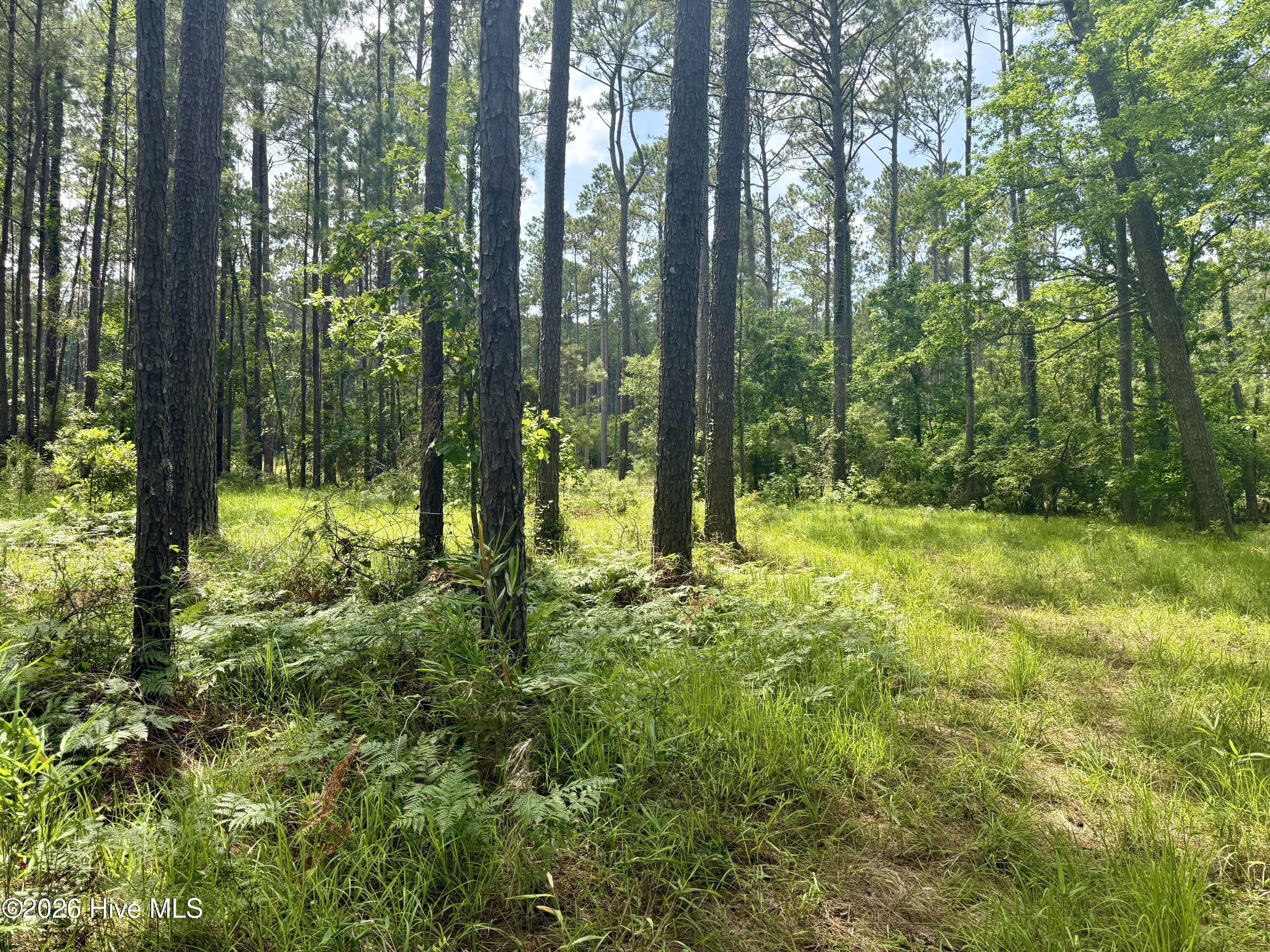 558 Sandy Point Drive Beaufort, NC 28516 - Photo 6 of 23