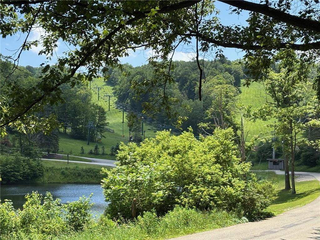 13 Lakeview Road Hidden Valley, PA 15502 - Photo 21 of 33 a view of a garden