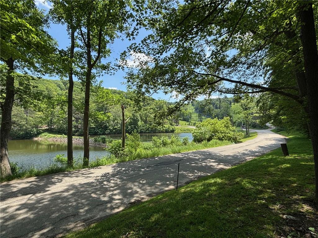 13 Lakeview Road Hidden Valley, PA 15502 - Photo 8 of 33 a view of a park with large trees