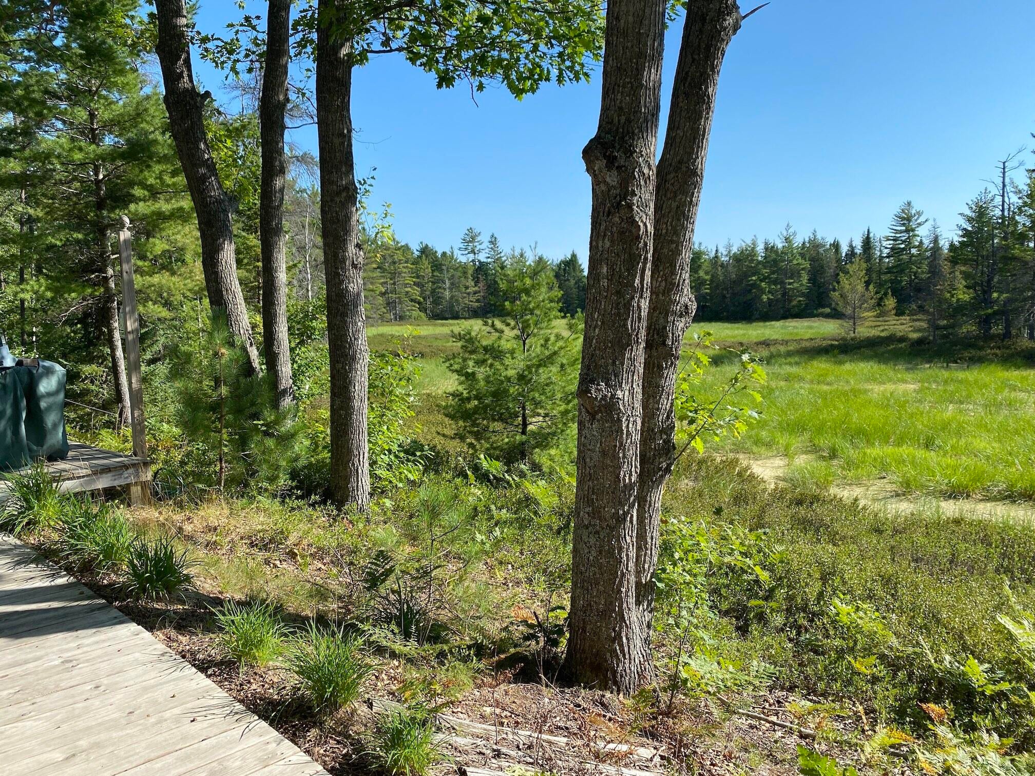 12207 North Duck Marsh Road Paradise, MI 49768 - Photo 2 of 48 Gallery Image 2