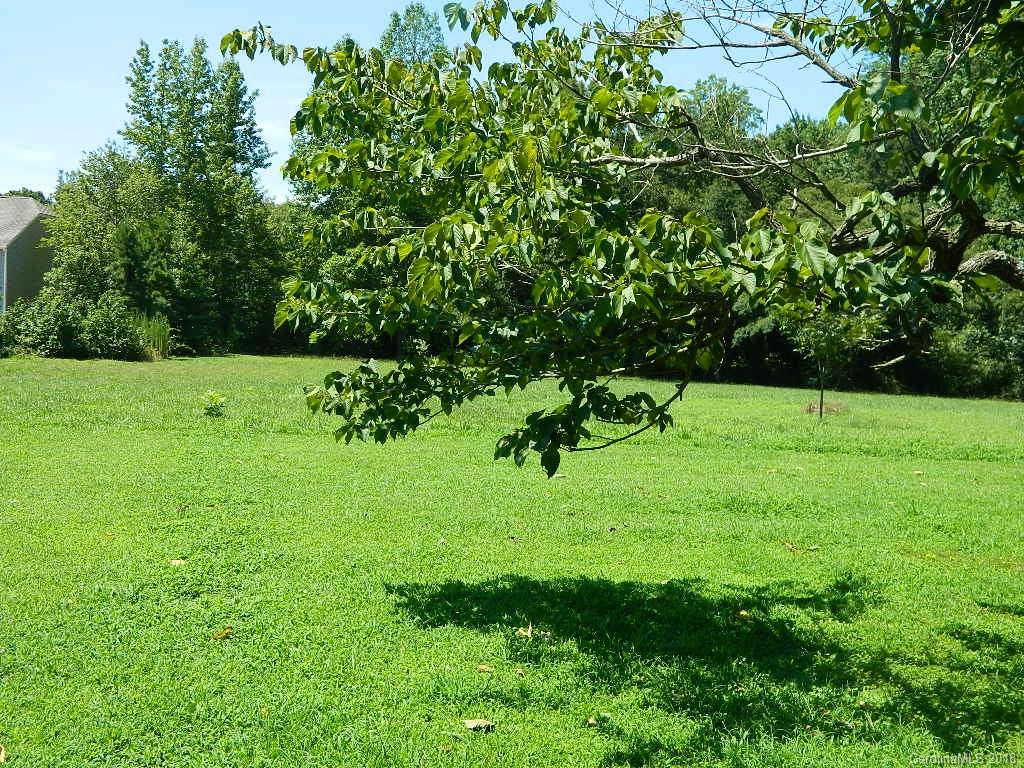 7003 Beatties Ford Road Charlotte, NC 28216 - Photo 4 of 6