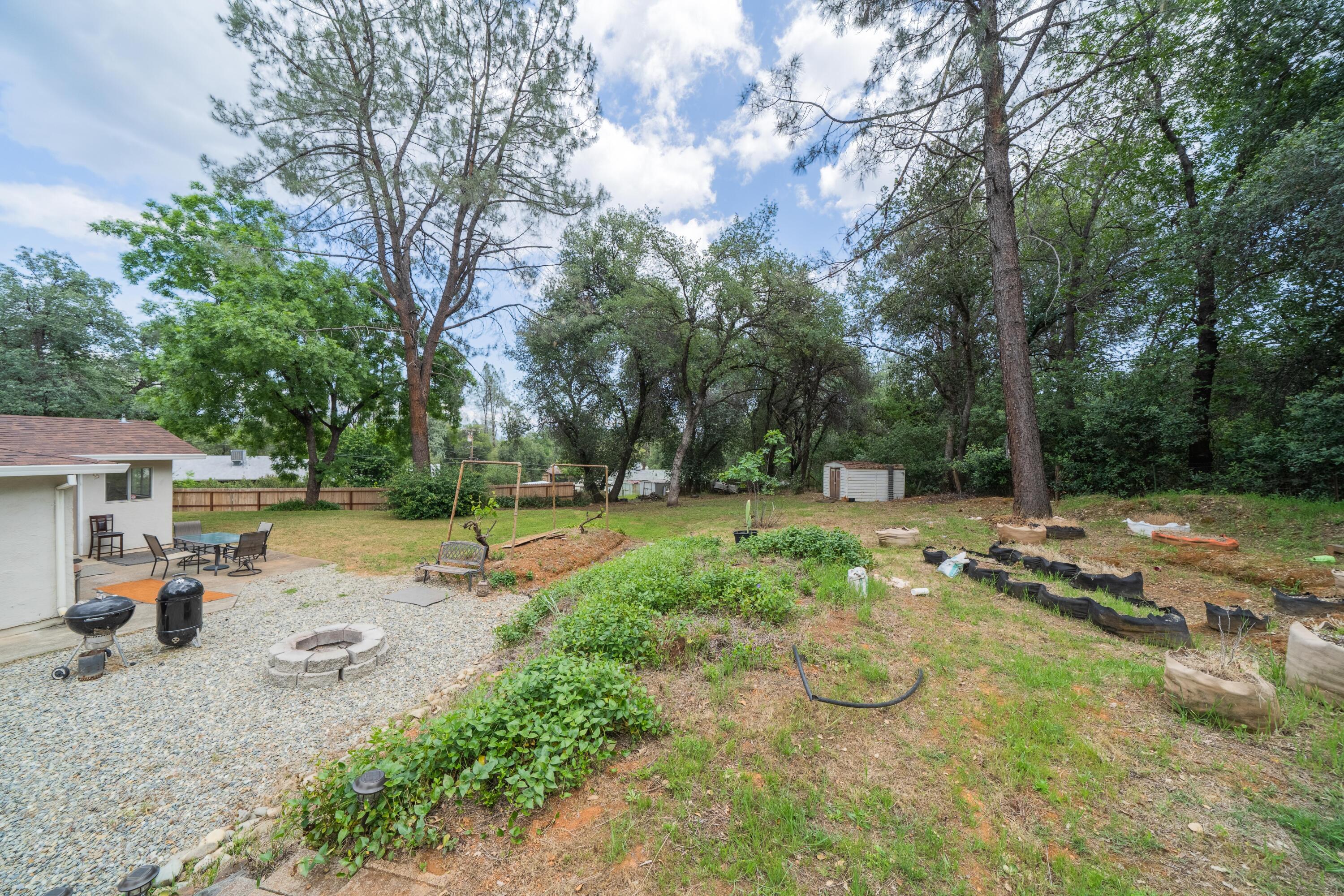 3113 Quartz Hill Road Redding, CA 96003 - Photo 29 of 36 a view of a park with large trees