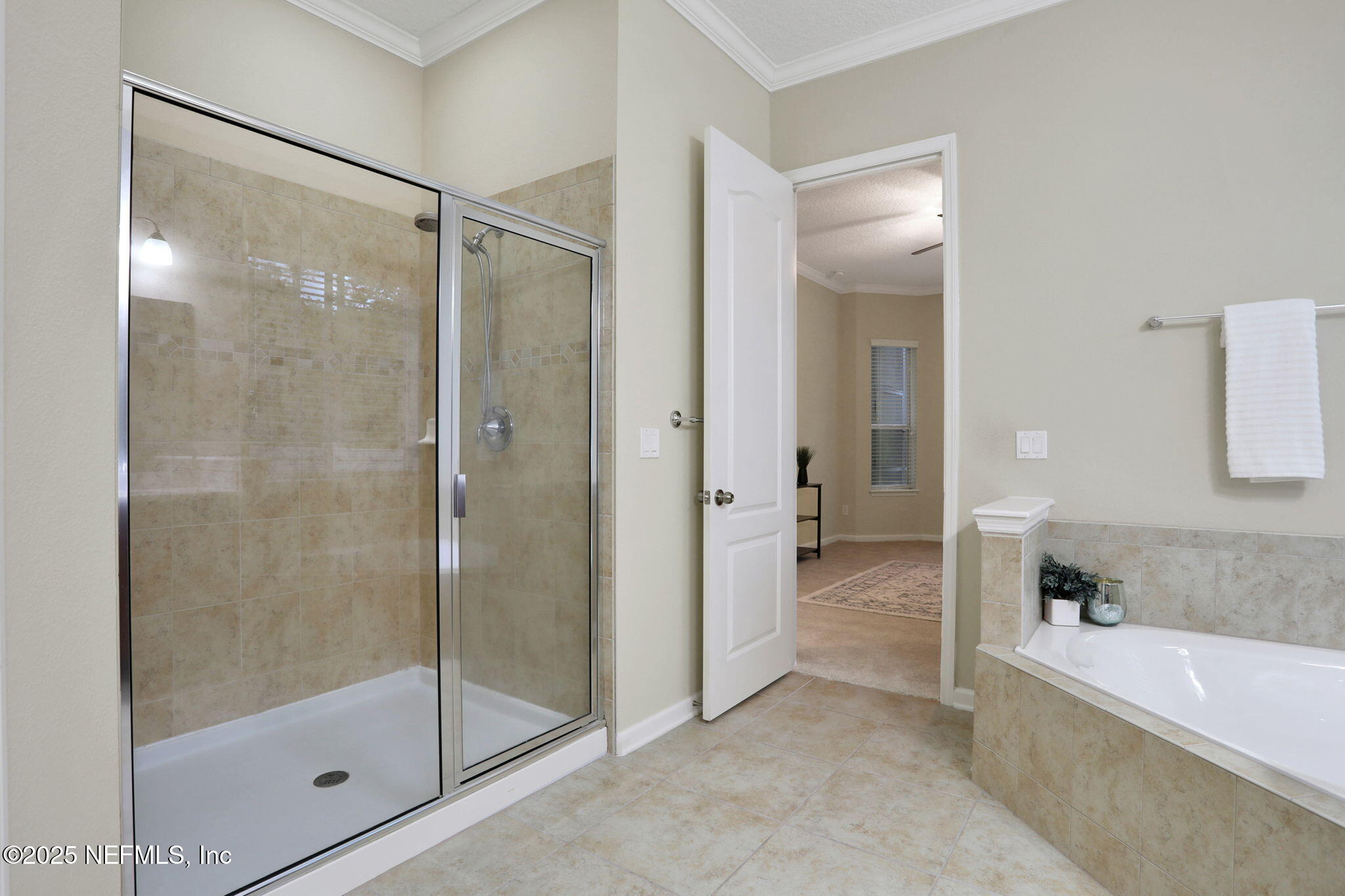 4484 Gray Hawk Street Orange Park, FL 32065 - Photo 30 of 103 Large shower and garden tub