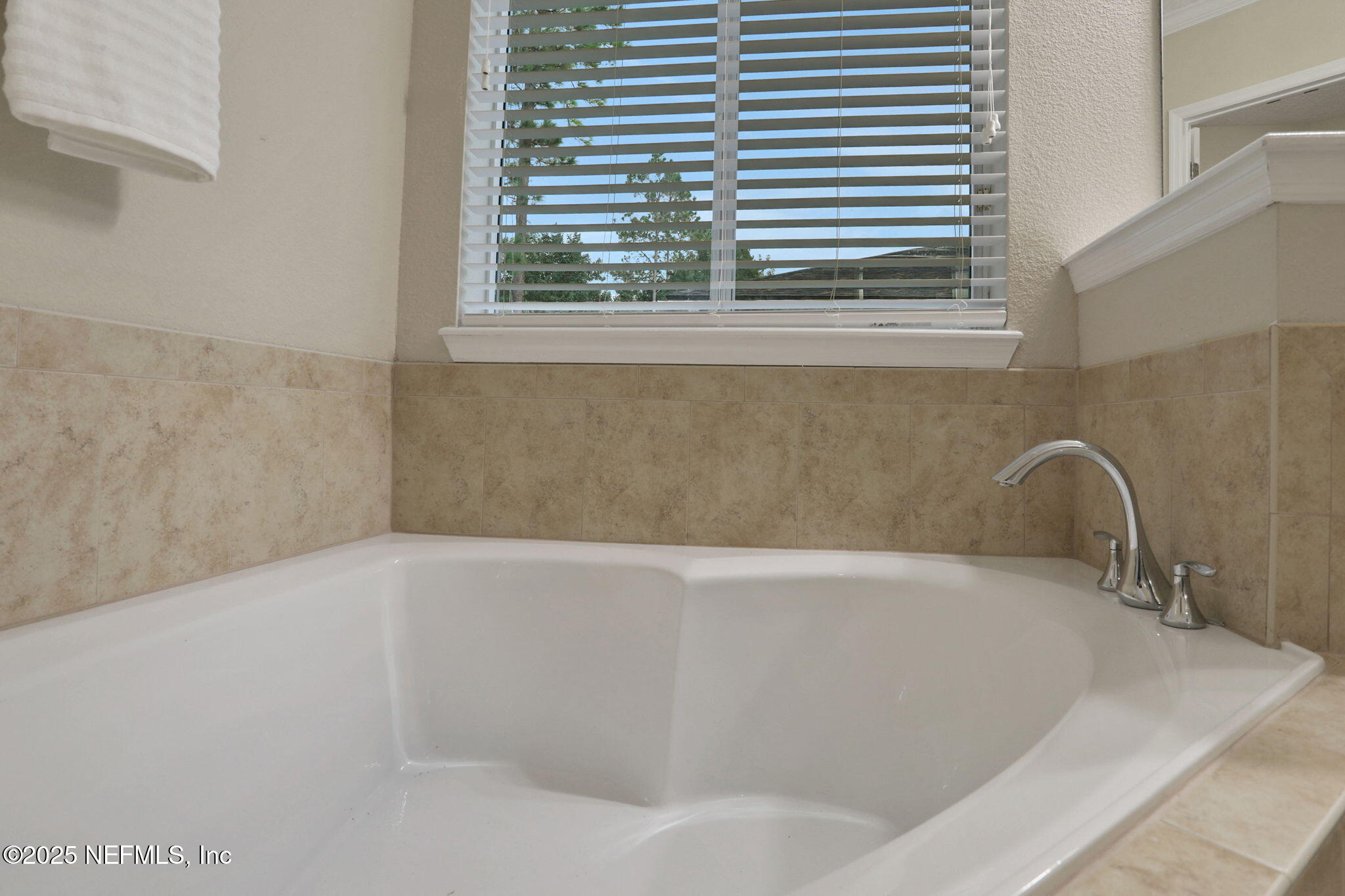 4484 Gray Hawk Street Orange Park, FL 32065 - Photo 31 of 103 Garden tub