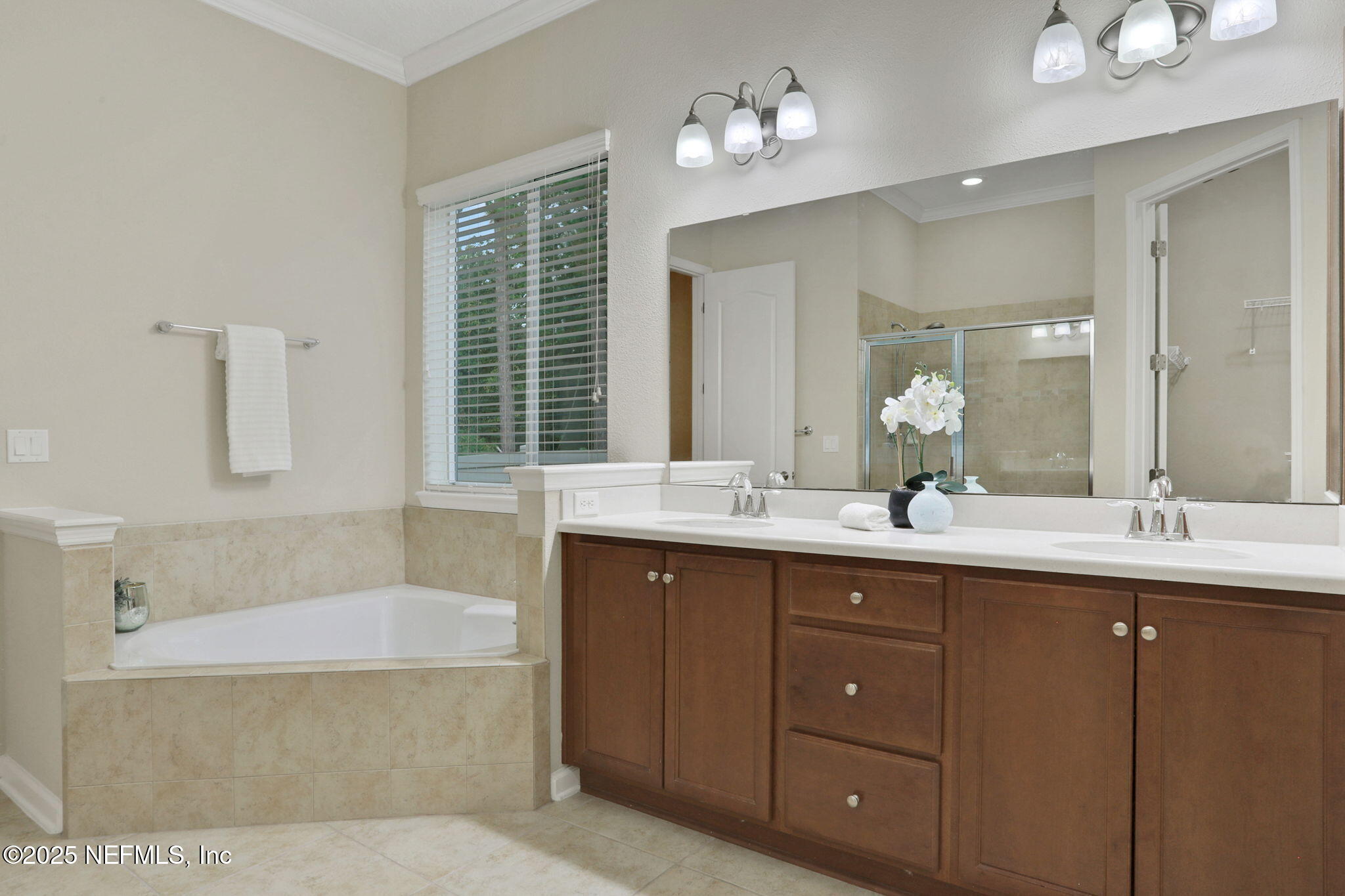 4484 Gray Hawk Street Orange Park, FL 32065 - Photo 32 of 103 Owner bathroom