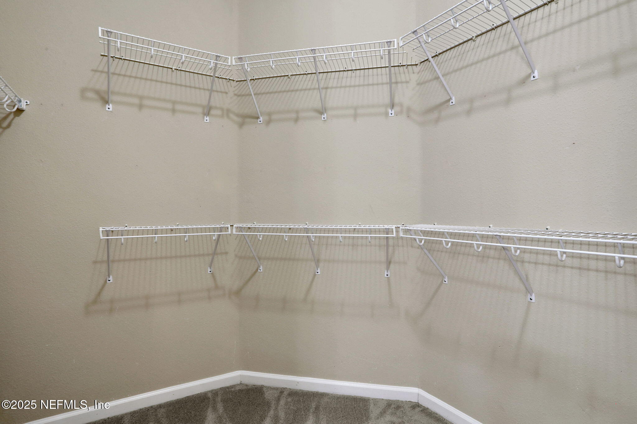 4484 Gray Hawk Street Orange Park, FL 32065 - Photo 33 of 103 Walk-in closet