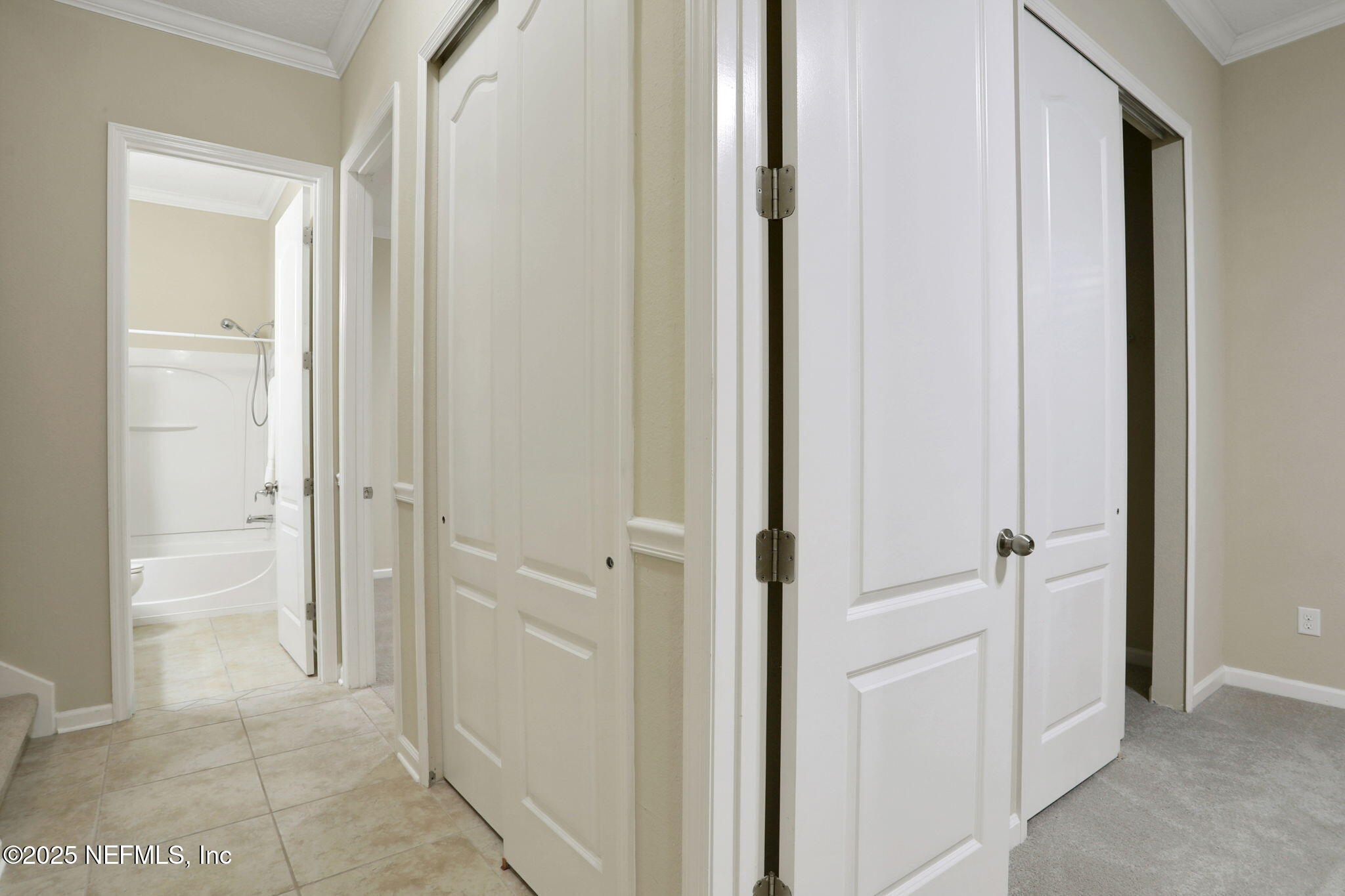 4484 Gray Hawk Street Orange Park, FL 32065 - Photo 38 of 103 Hallway