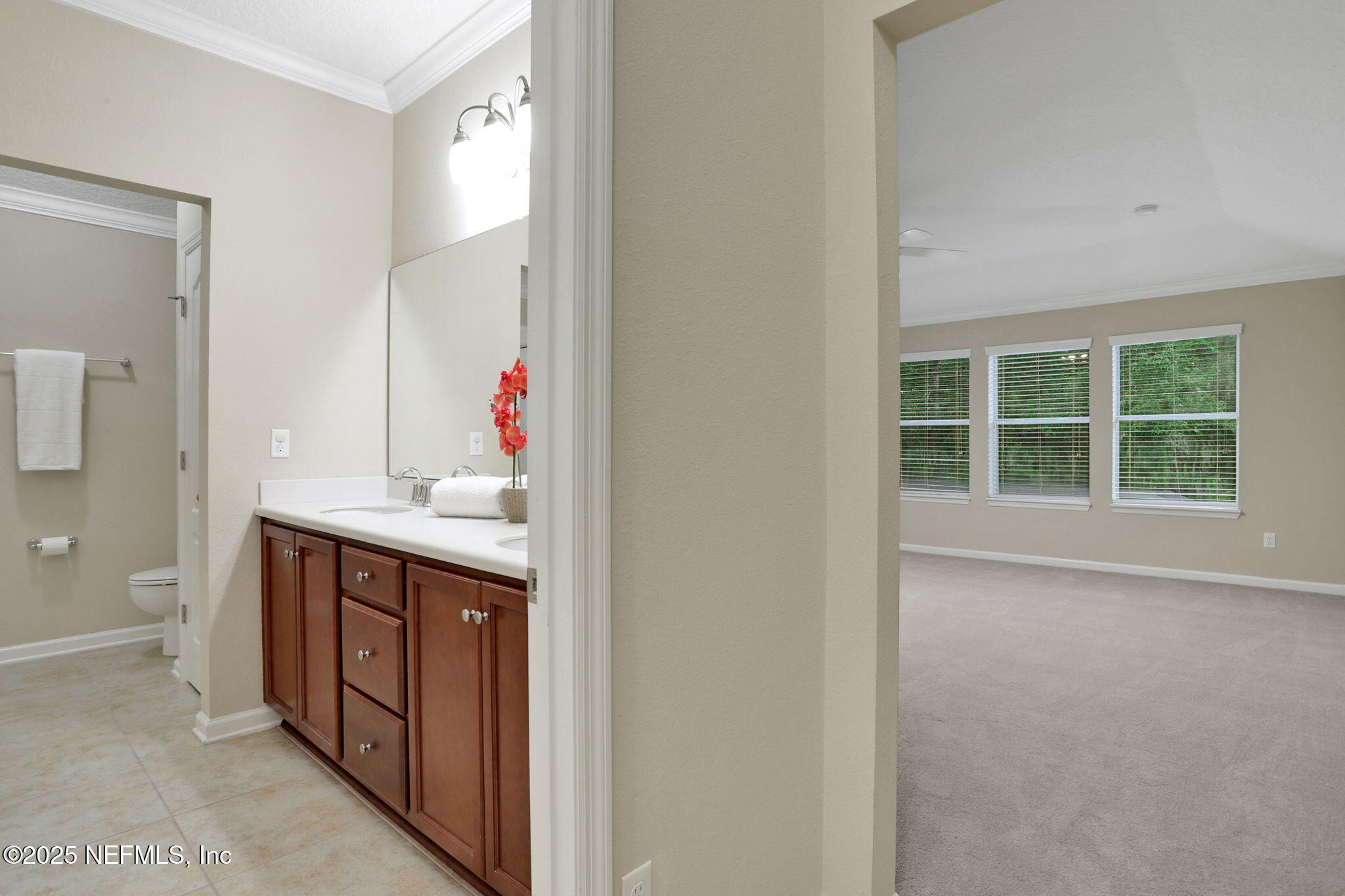 4484 Gray Hawk Street Orange Park, FL 32065 - Photo 44 of 103 Upstairs bathroom and bedroom