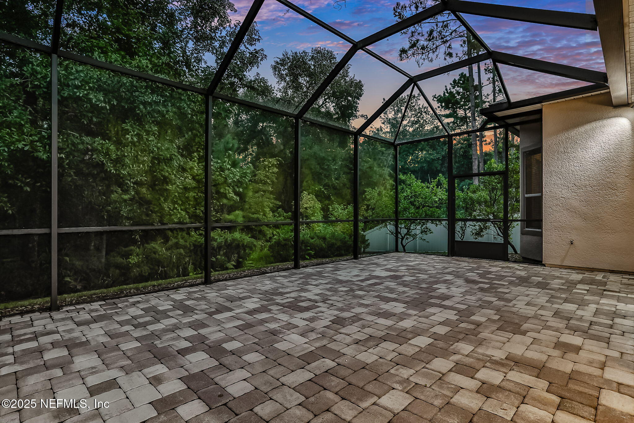 4484 Gray Hawk Street Orange Park, FL 32065 - Photo 55 of 103 Extended large cage