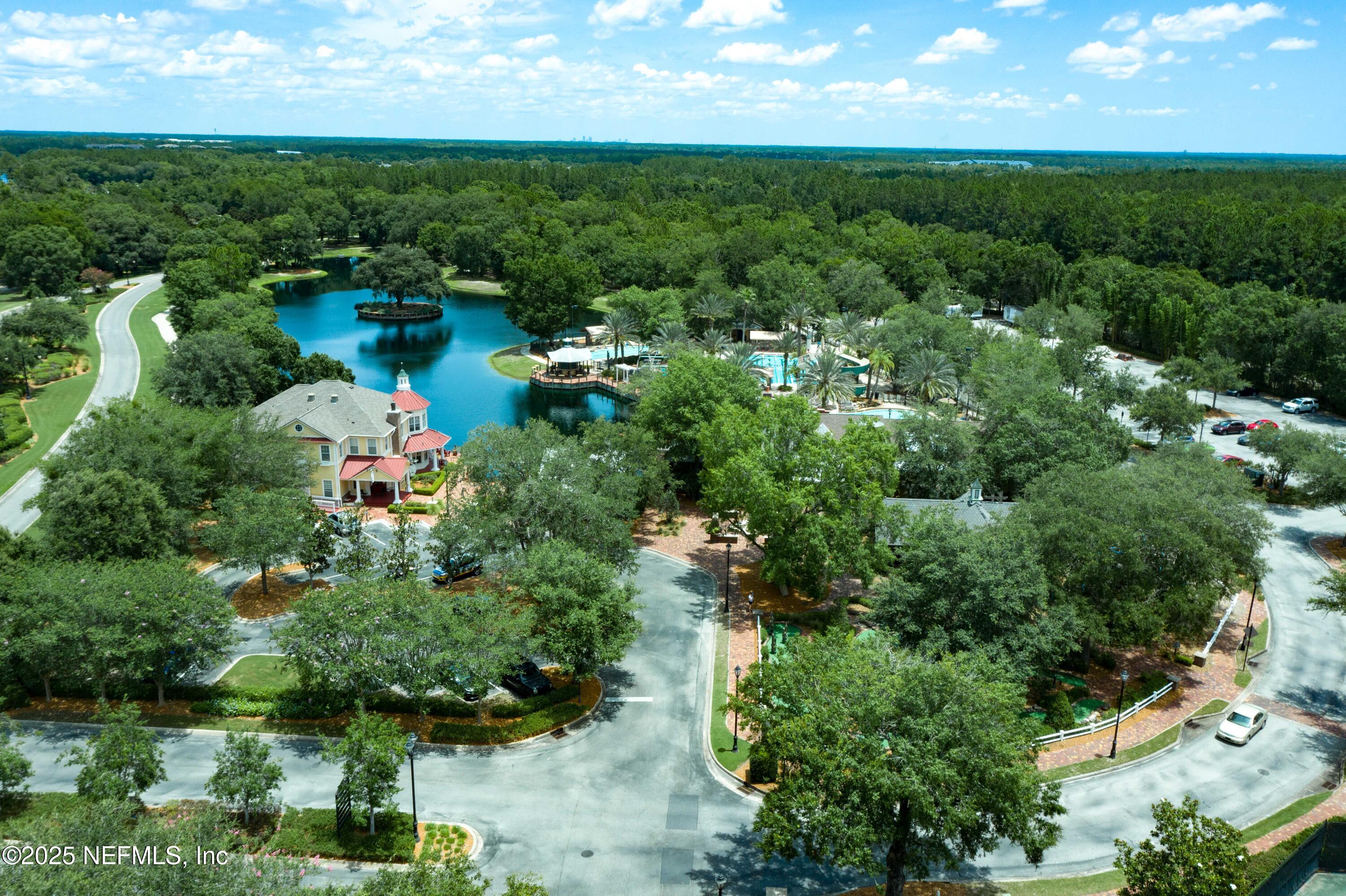 4484 Gray Hawk Street Orange Park, FL 32065 - Photo 88 of 103 Aerial view of amenity area