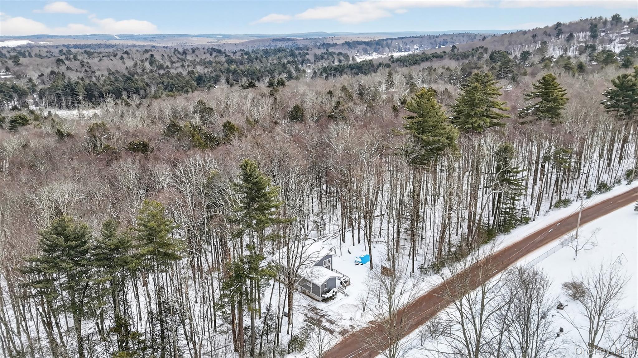 24 Schultz Road White Lake, NY 12786 - Photo 20 of 20