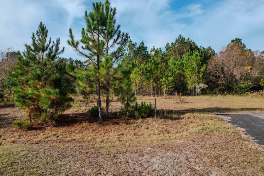 102 Highsmith Avenue Screven, GA 31560 - Photo 13 of 13