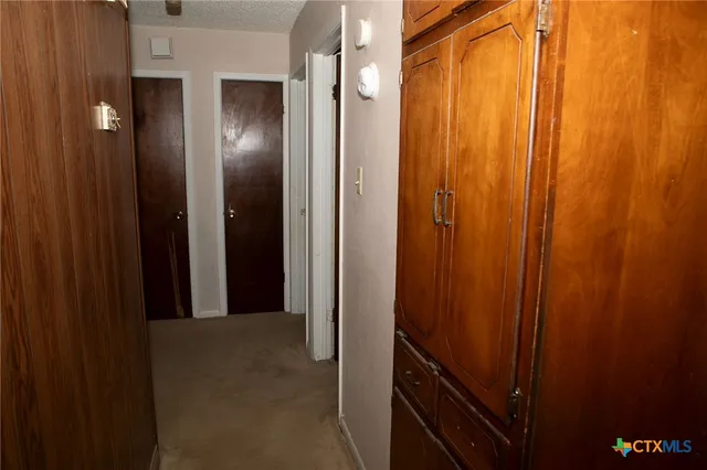 a view of a yard with a trees