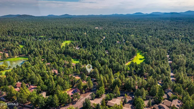 a view of a park with plants and trees