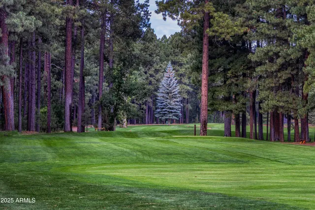 a view of a house with a yard porch and sitting area