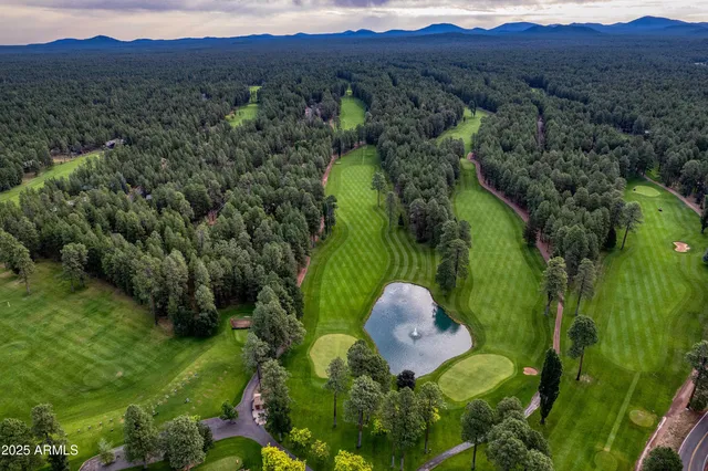 a big yard with large trees