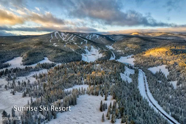 a view of a lake in between two large trees