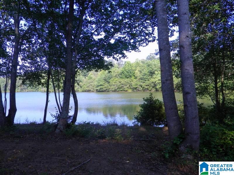 7378 State Lake Road Delta, AL 36258 - Photo 38 of 38