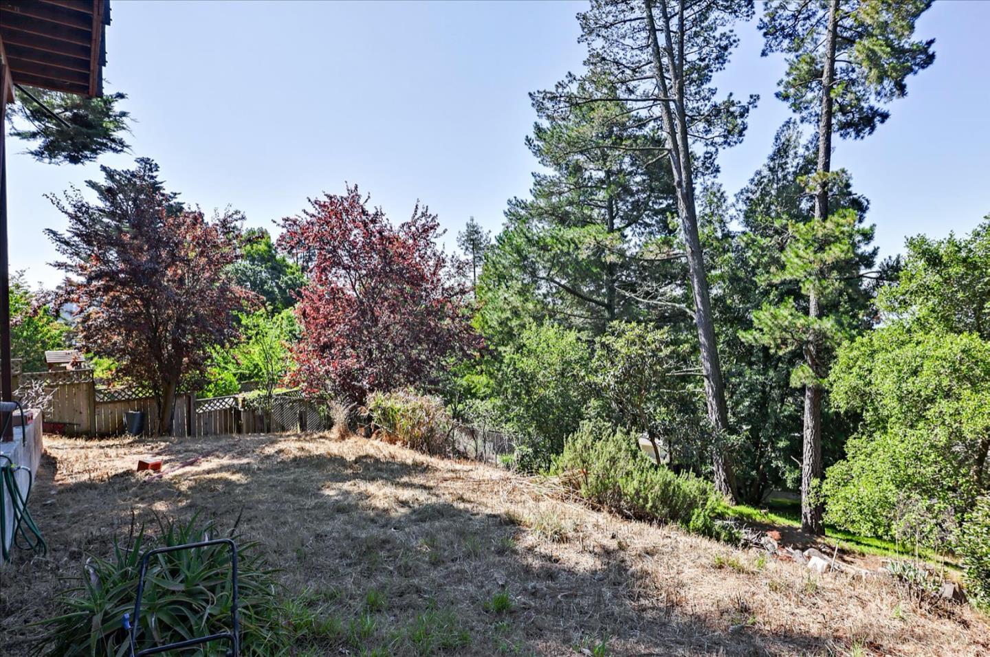 6821 Ridgewood Drive Oakland, CA 94611 - Photo 25 of 26 a view of a yard with plants and trees