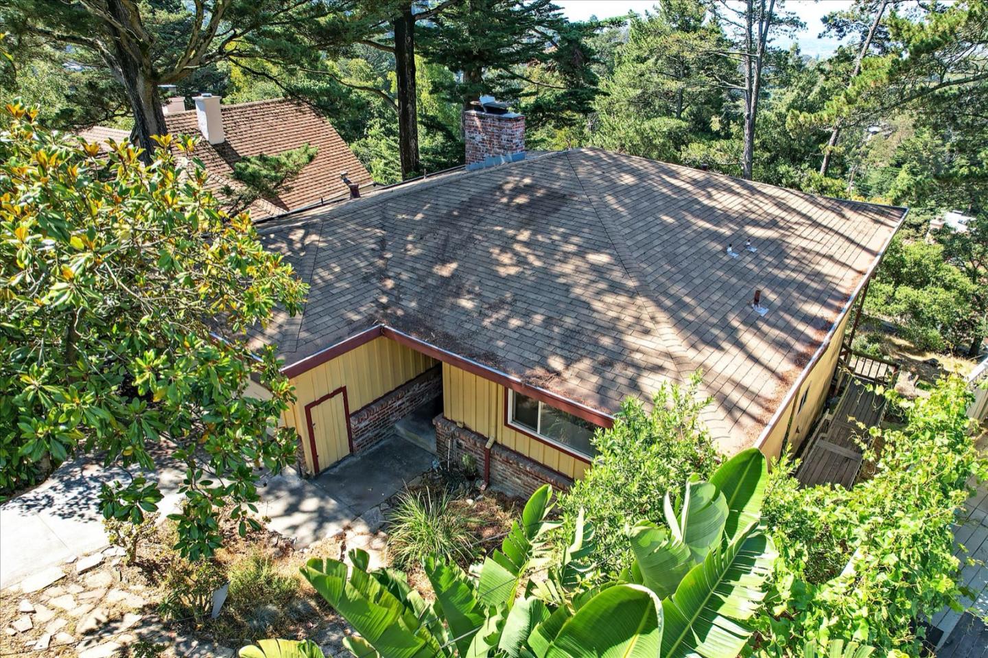 6821 Ridgewood Drive Oakland, CA 94611 - Photo 26 of 26 a backyard of a house with large trees and plants