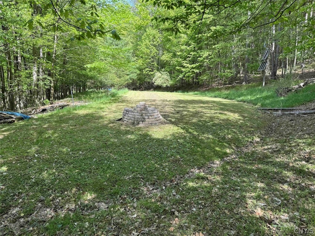 774 Bent Dipper Road Genesee, NY 14721 - Photo 29 of 46