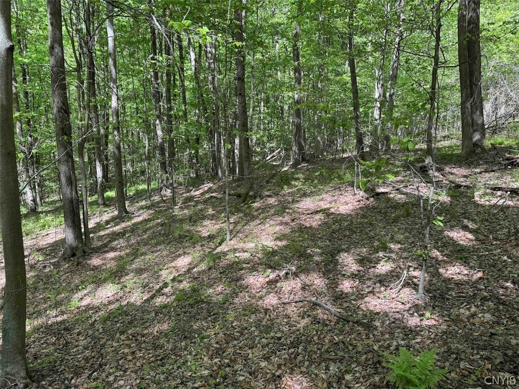 774 Bent Dipper Road Genesee, NY 14721 - Photo 37 of 46