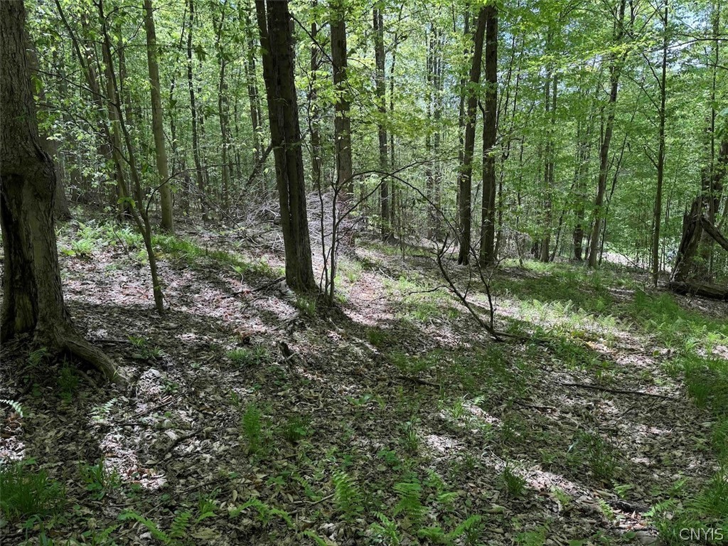 774 Bent Dipper Road Genesee, NY 14721 - Photo 42 of 46