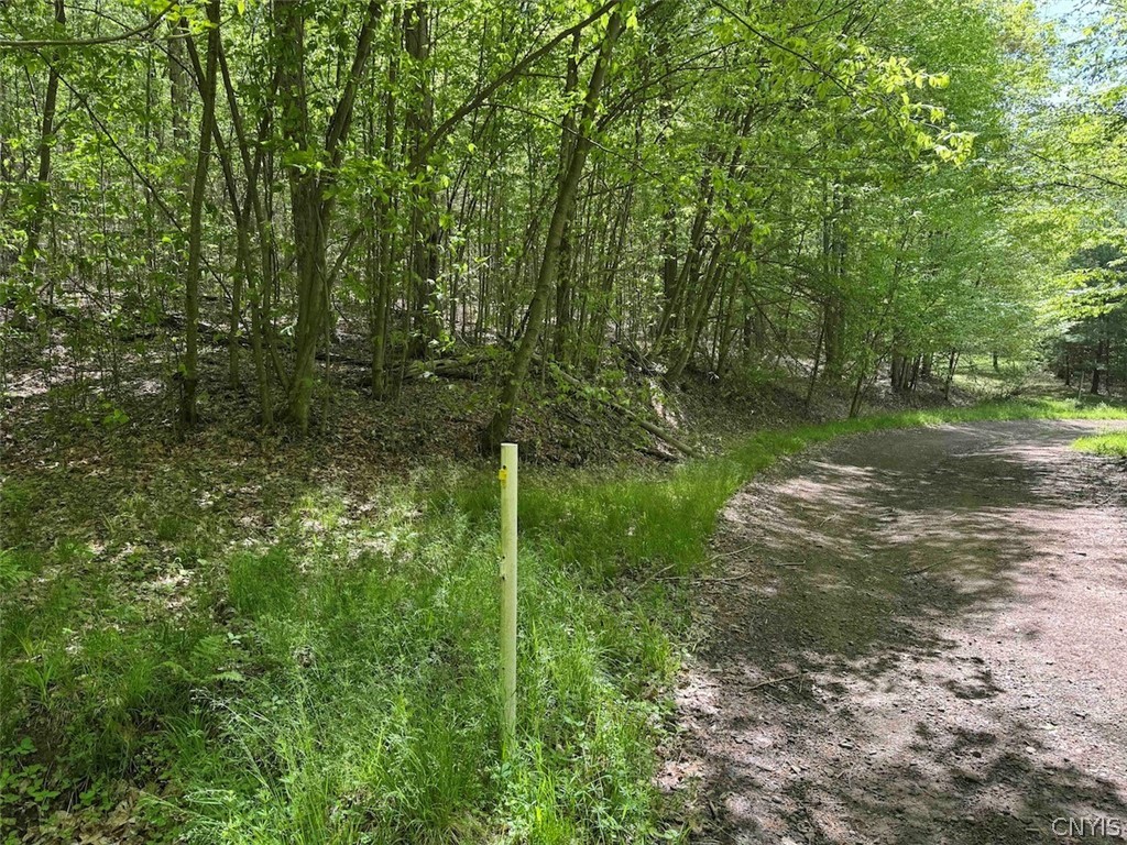 774 Bent Dipper Road Genesee, NY 14721 - Photo 44 of 46