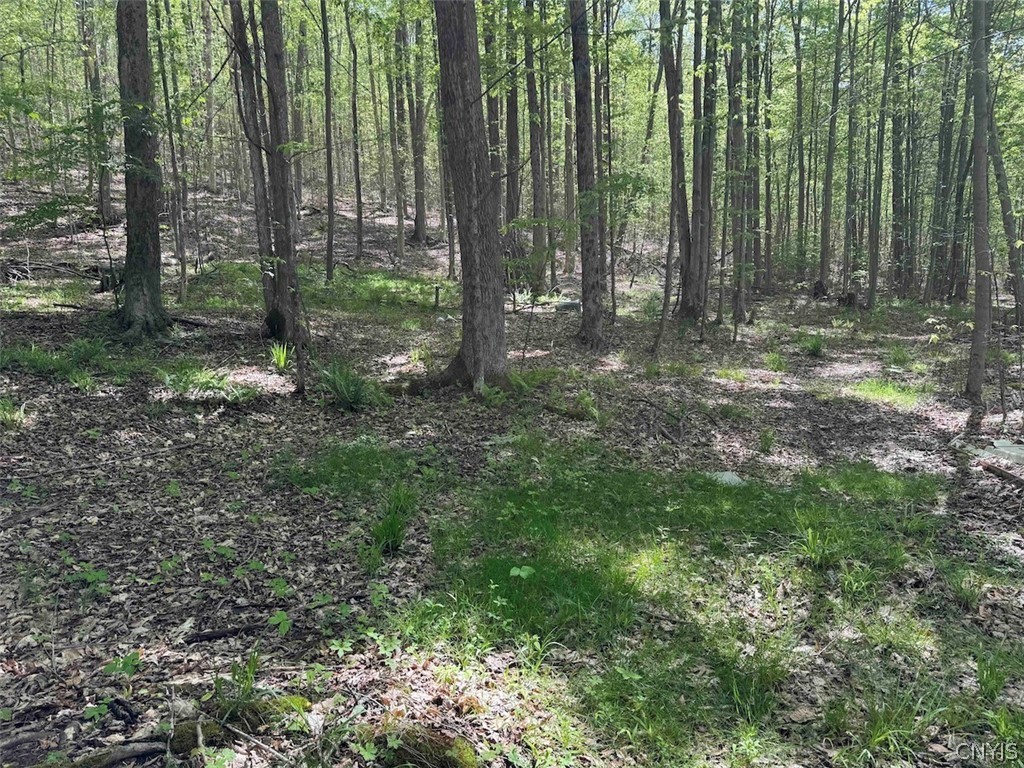 774 Bent Dipper Road Genesee, NY 14721 - Photo 45 of 46