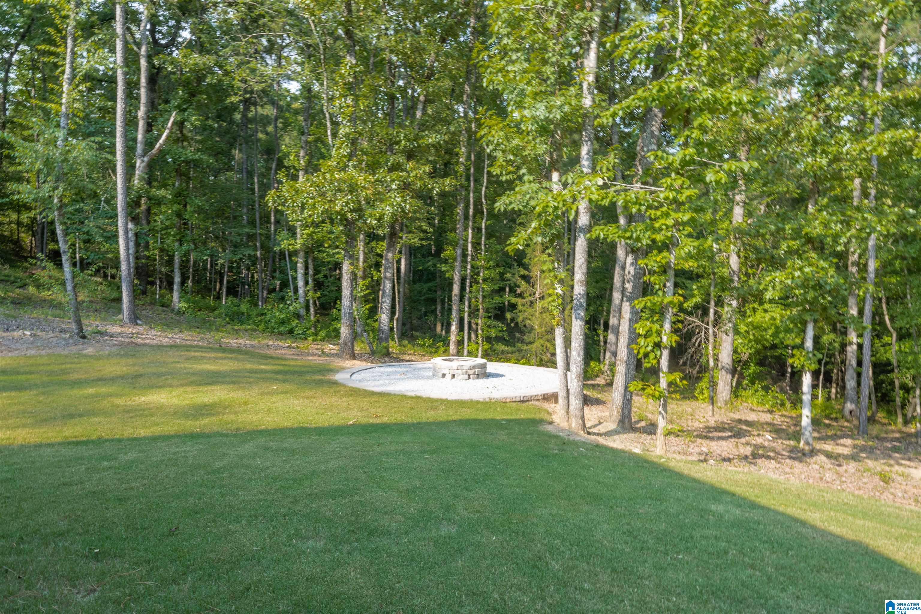 4324 Highway 331 Chelsea, AL 35043 - Photo 44 of 57