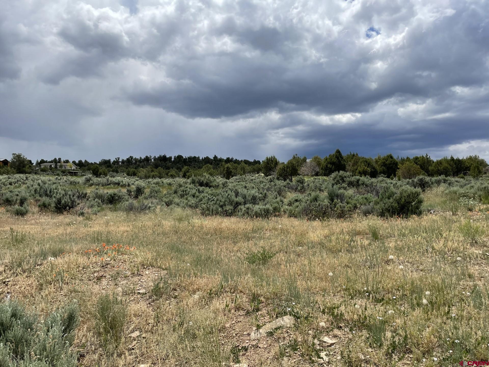 Lot 8 D Road Crawford, CO 81415 - Photo 11 of 14 a view of a big yard with lots of green space