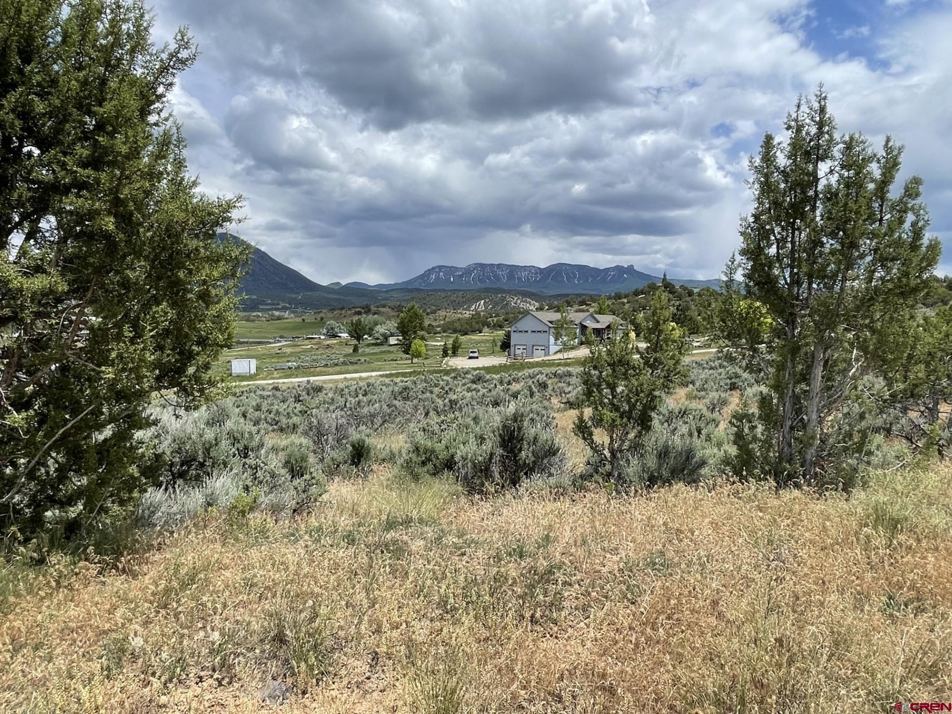 Lot 8 D Road Crawford, CO 81415 - Photo 3 of 14 a view of a bunch of trees and houses