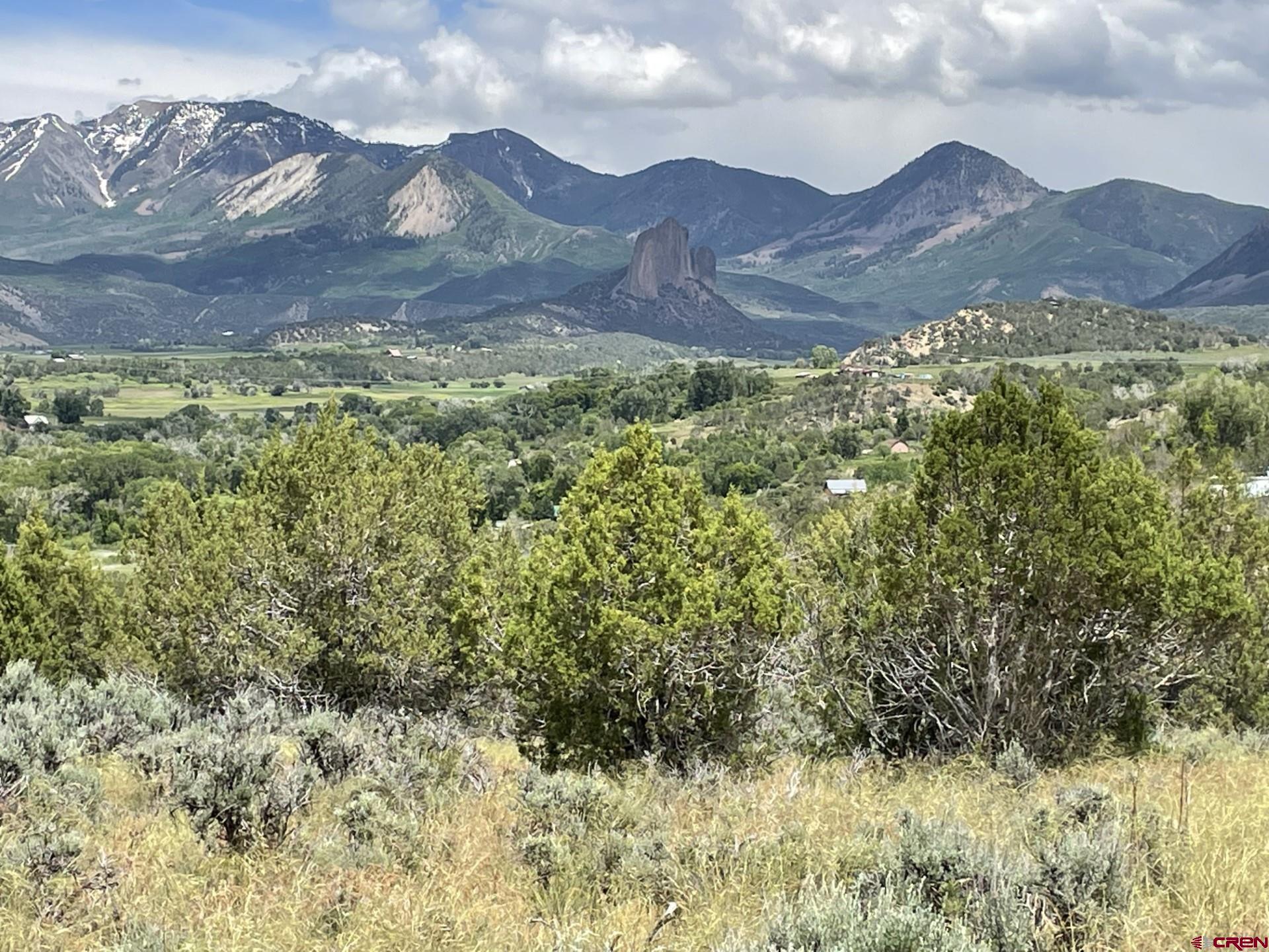 Lot 8 D Road Crawford, CO 81415 - Photo 6 of 14 a view of a yard with a mountain
