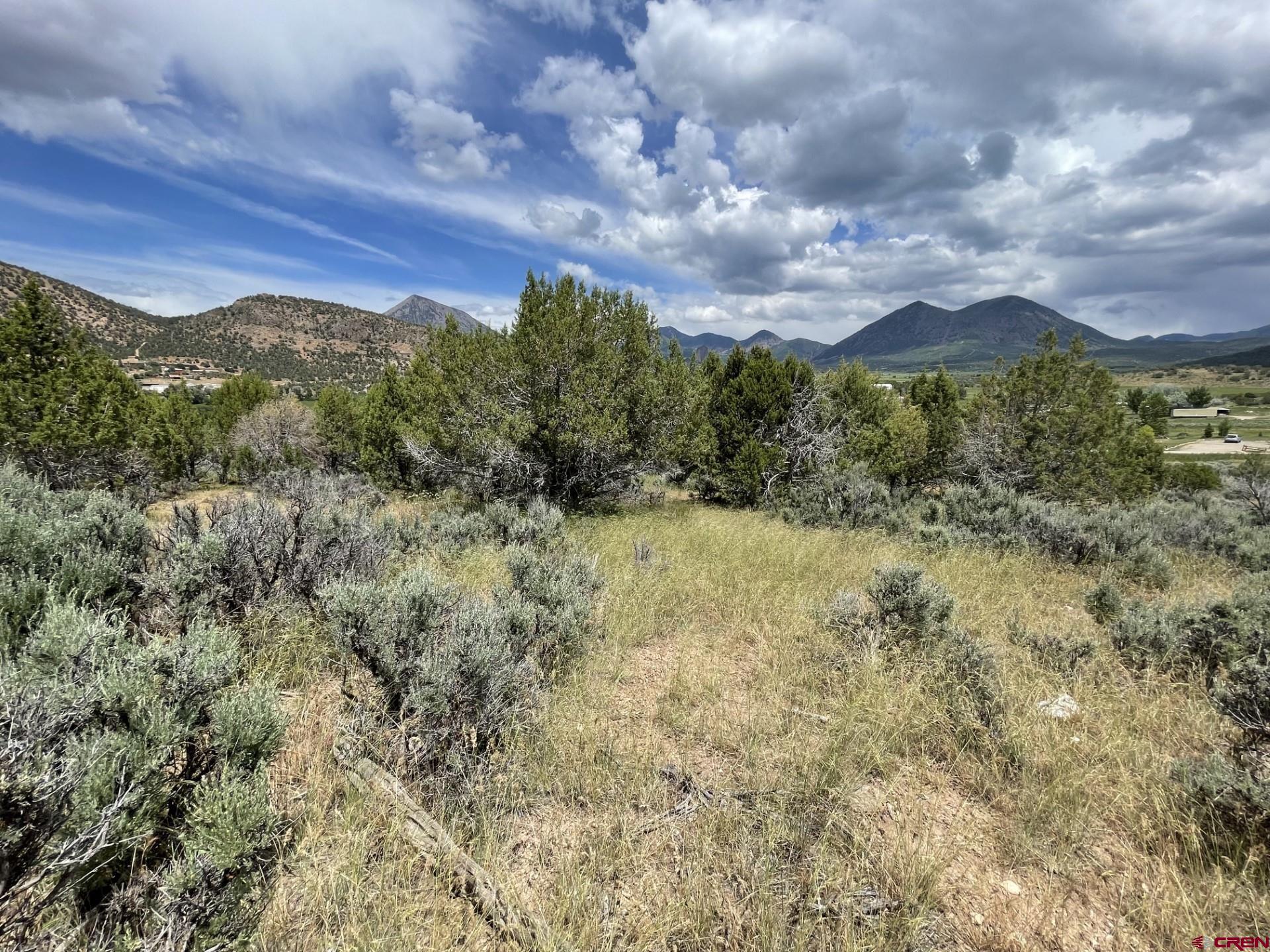 Lot 8 D Road Crawford, CO 81415 - Photo 7 of 14 a view of a city with lush green forest