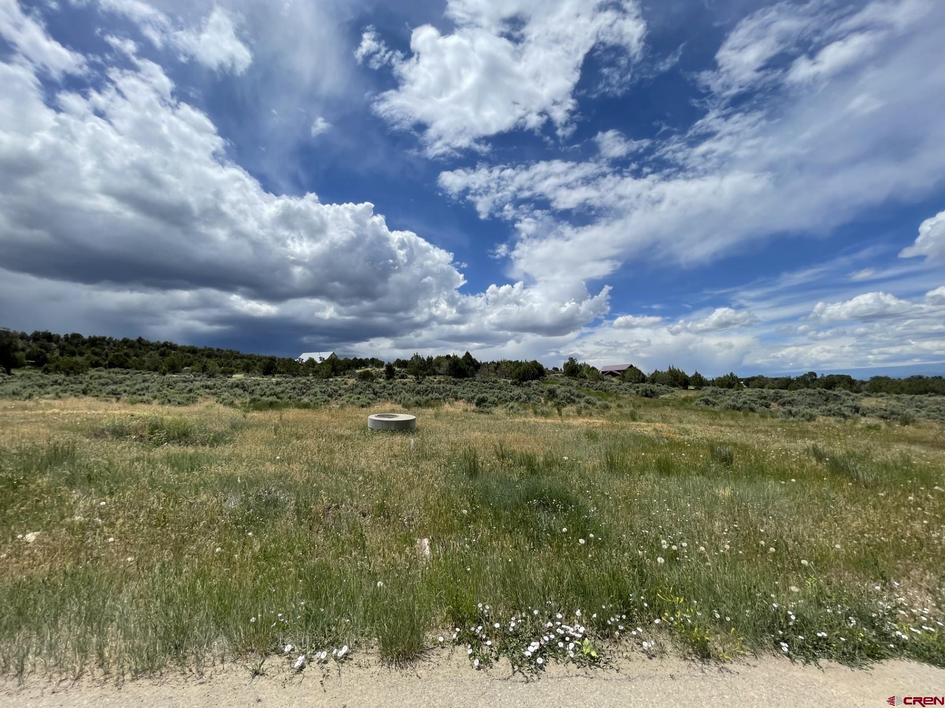 Lot 8 D Road Crawford, CO 81415 - Photo 8 of 14 a view of a lake