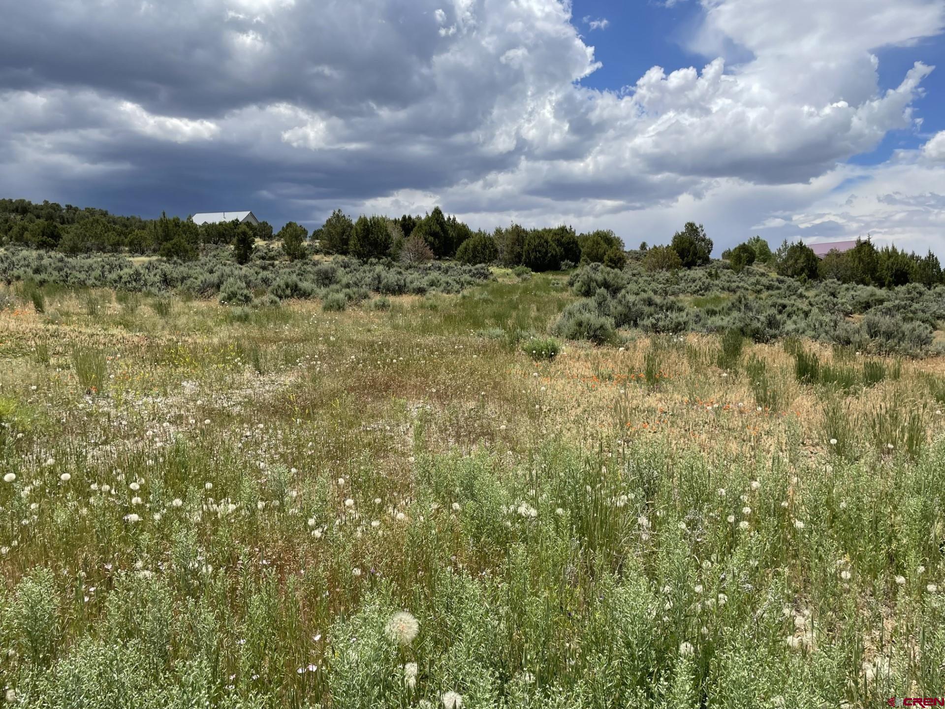Lot 8 D Road Crawford, CO 81415 - Photo 9 of 14 a view of a bunch of trees