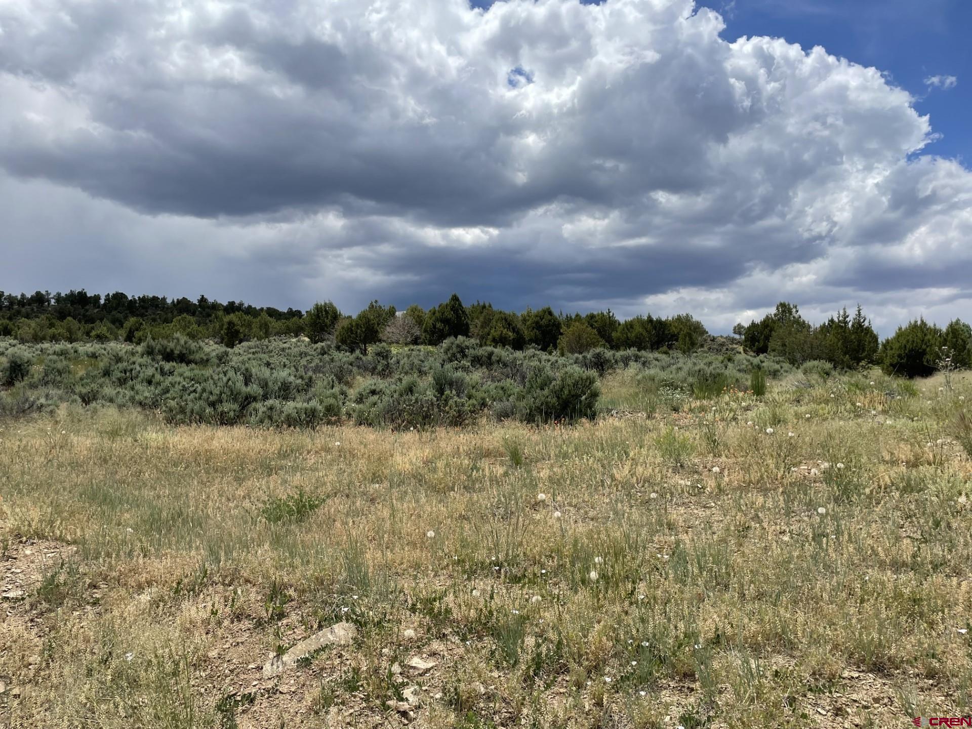 Lot 8 D Road Crawford, CO 81415 - Photo 10 of 14 a view of a bunch of trees in a field