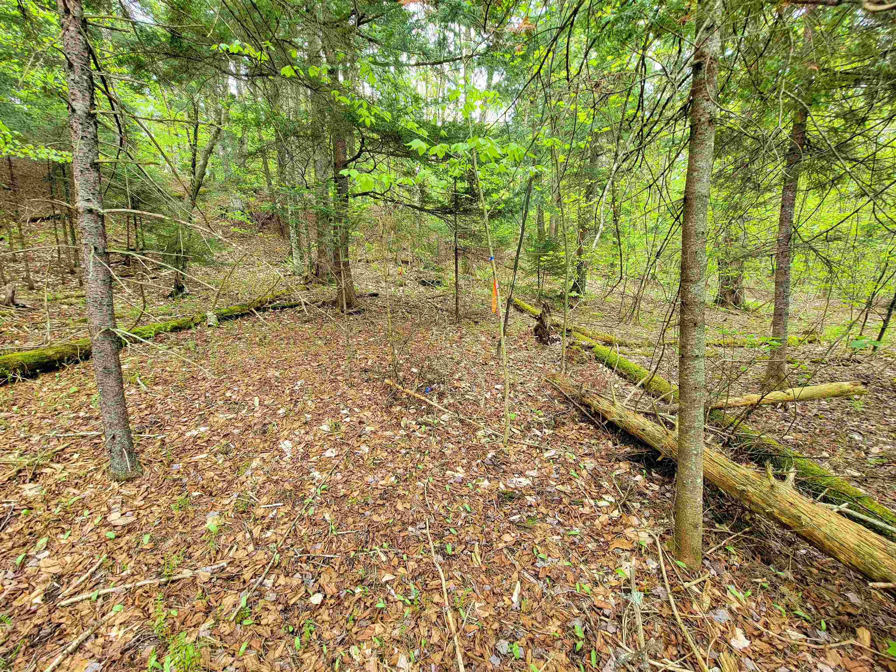 720 Brookview Lane Wolcott, VT 05680 - Photo 35 of 48