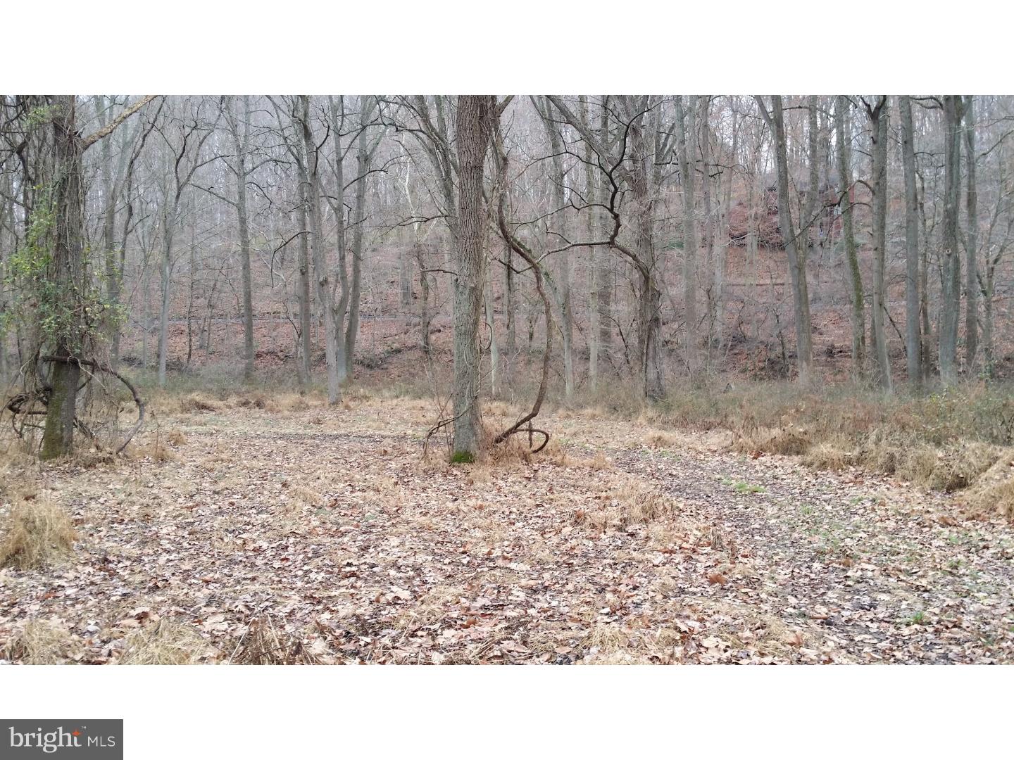 262 Mercer Mill Road Landenberg, PA 19350 - Photo 7 of 12