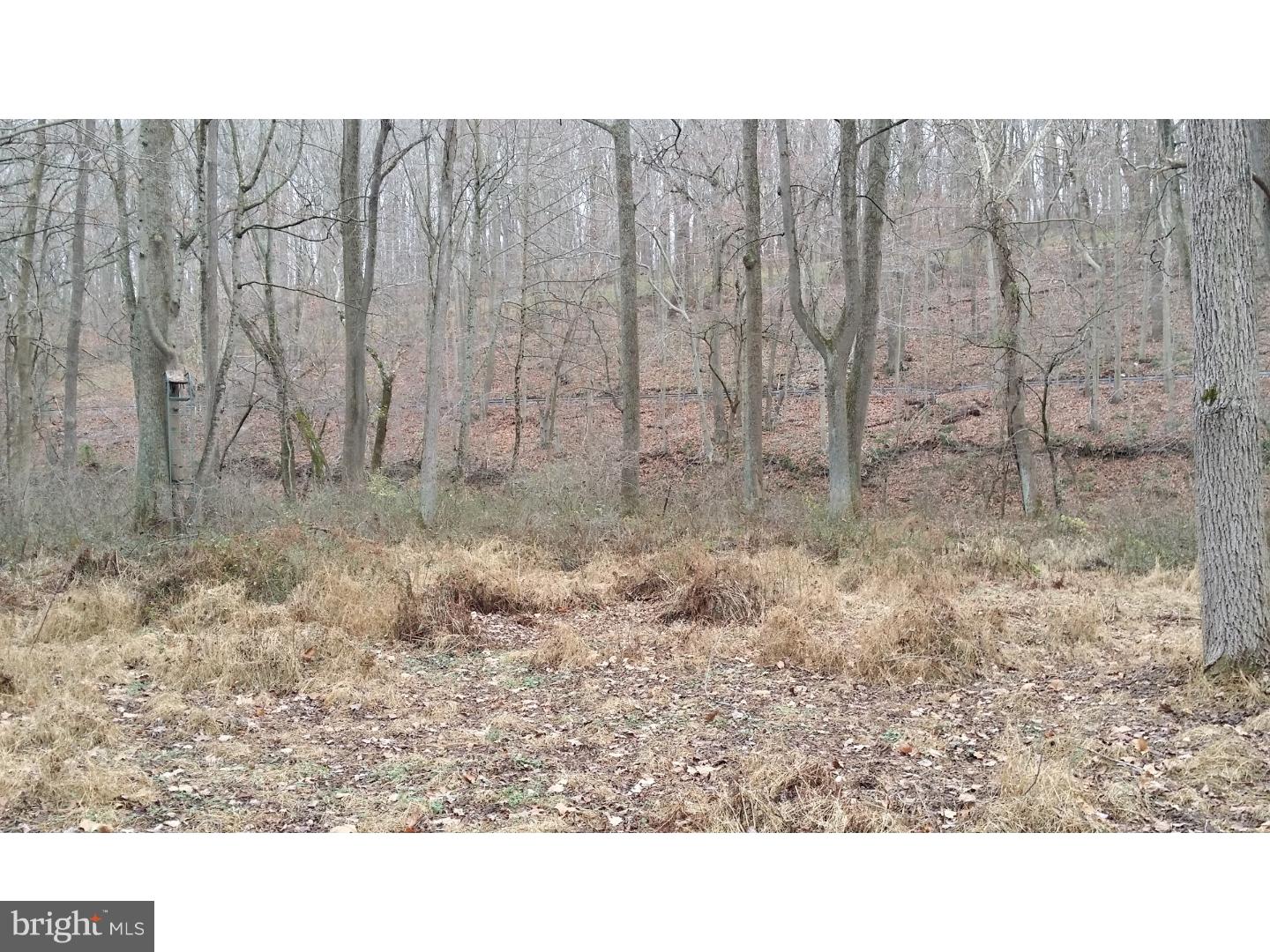 262 Mercer Mill Road Landenberg, PA 19350 - Photo 10 of 12