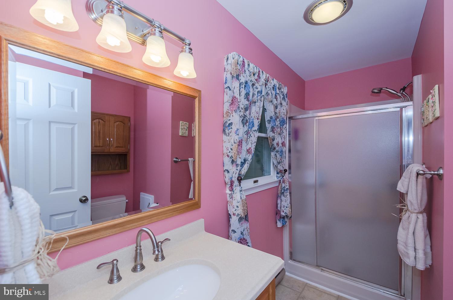 110 Woods Road Chester, MD 21619 - Photo 22 of 38 Master Bath Walk In Shower