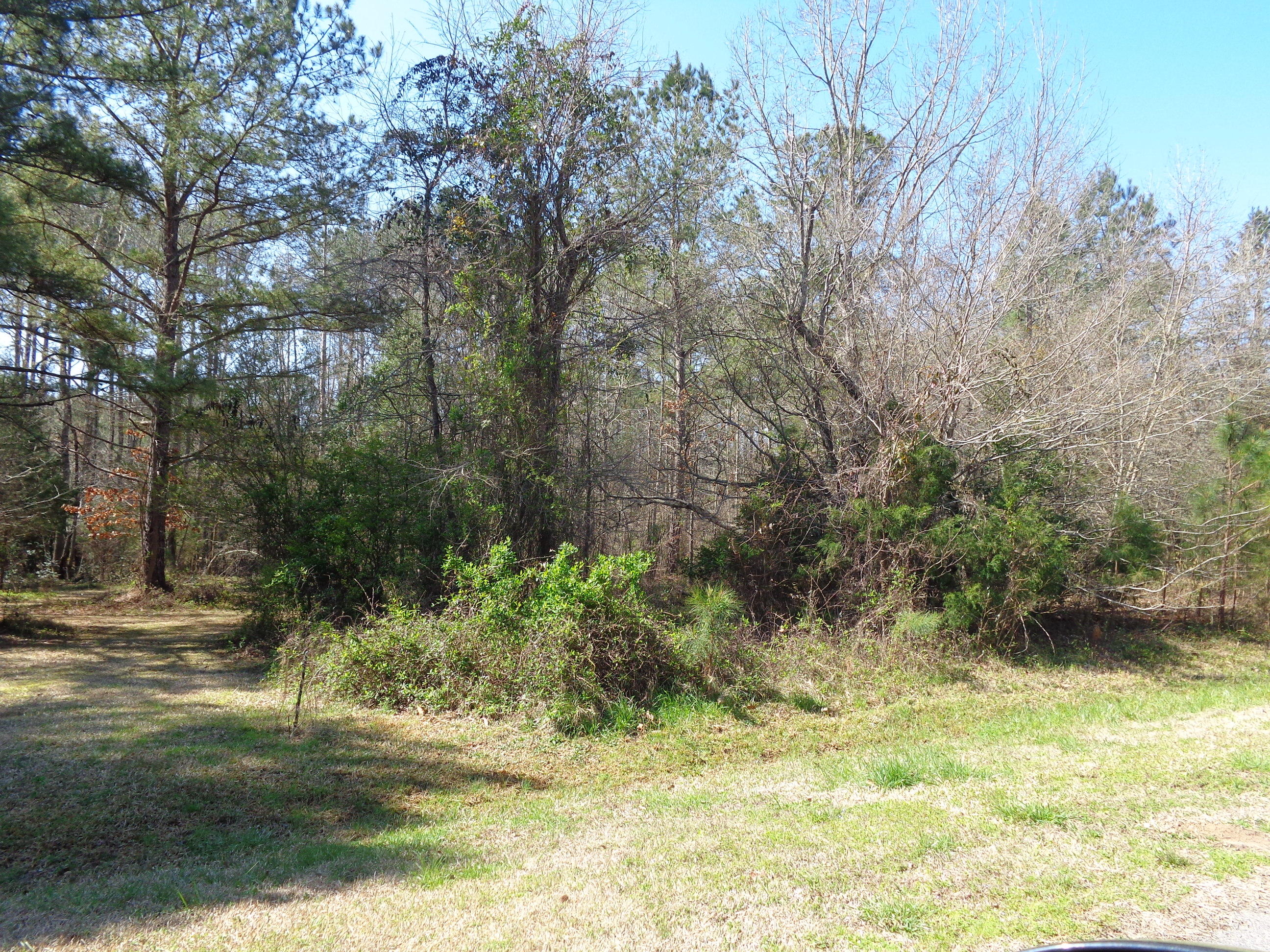 Tbd Wright Lane Rockingham, NC 28379 - Photo 1 of 4 This is the extra lot with main lot