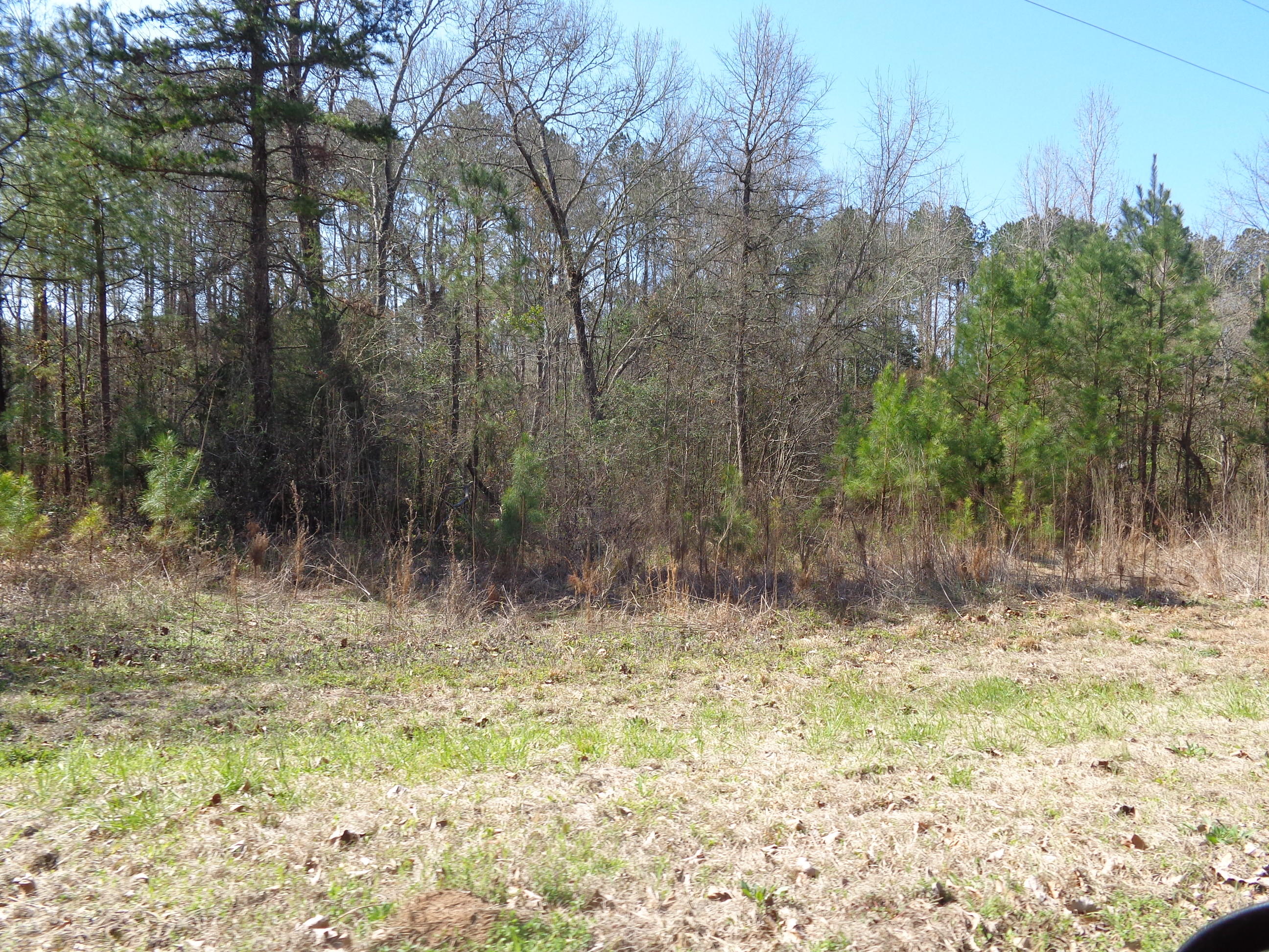 Tbd Wright Lane Rockingham, NC 28379 - Photo 2 of 4 middle of the lots.